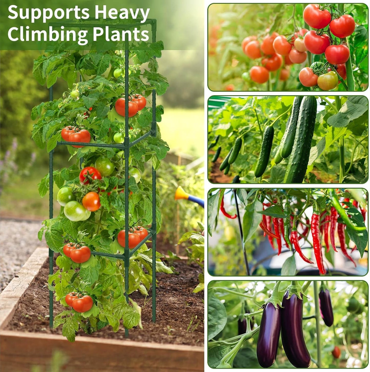 3 Pack 48" Tomato Cage for Garden, Heavy Duty Adjustable Plastic Coated Steel Pipe Tomato Stakes Trellis Plant Cages for Vegetable, Fruit, Flower, Rose Vine Climbing Plants