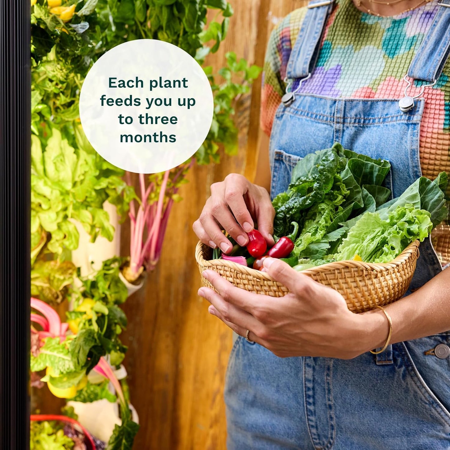 Gardyn Studio Vertical Hydroponics Growing System Kit - 16 Non-GMO Plants, Herbs, Vegetables - Tower Garden - Hydroponic Herb Garden Planter Indoor Kit - Indoor Gardening System with LED Grow Lights