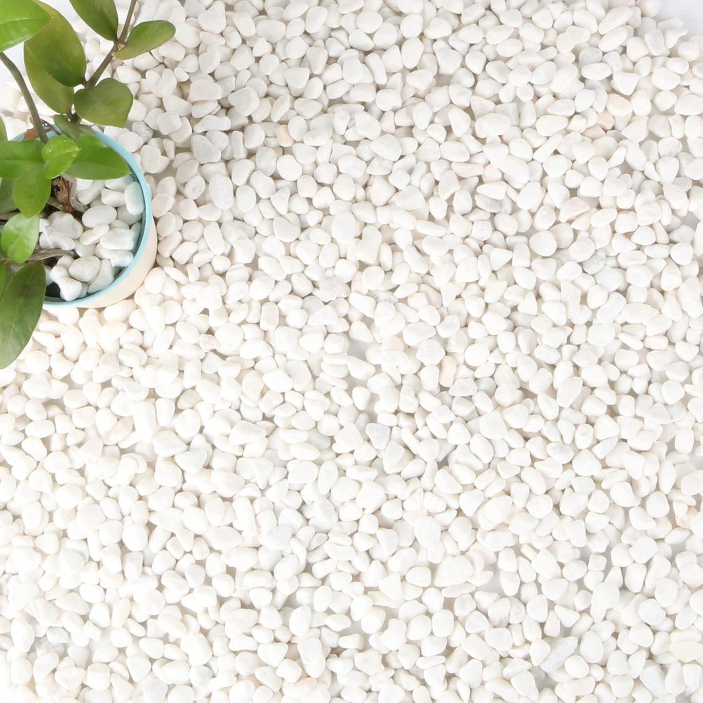 Anothera 18-lb Bulk Bag White Pebbles 1/2" Size Aquarium Gravel Outdoor Garden Paving Plant Decorative Stones…