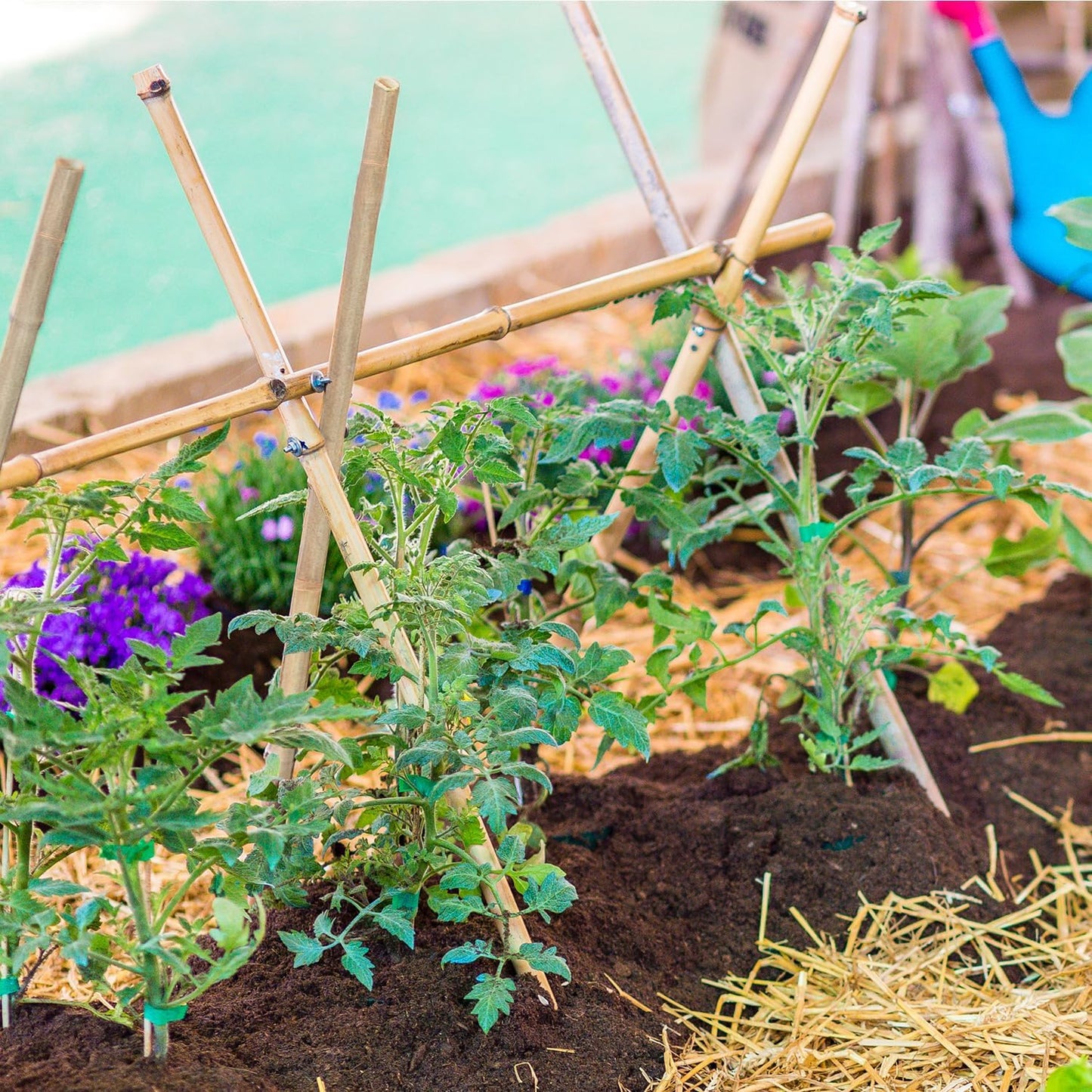 Plant Stakes 18inch, 20Pcs Natural Bamboo Sticks Garden Stakes, HAINANSTRY Plant Support Stakes for Indoor & Outdoor Plants, Orchid Tomato Vegetable Stakes for Garden