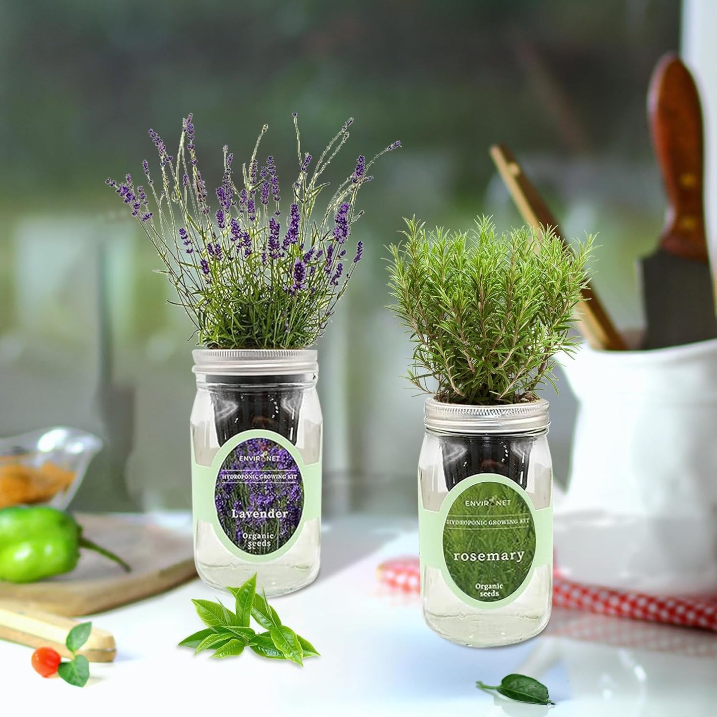 2-Pack Hydroponic Mason Jar Herb Garden Kit, Indoor Herb Garden Self-Watering Starter Kit (Dill,Lavender)