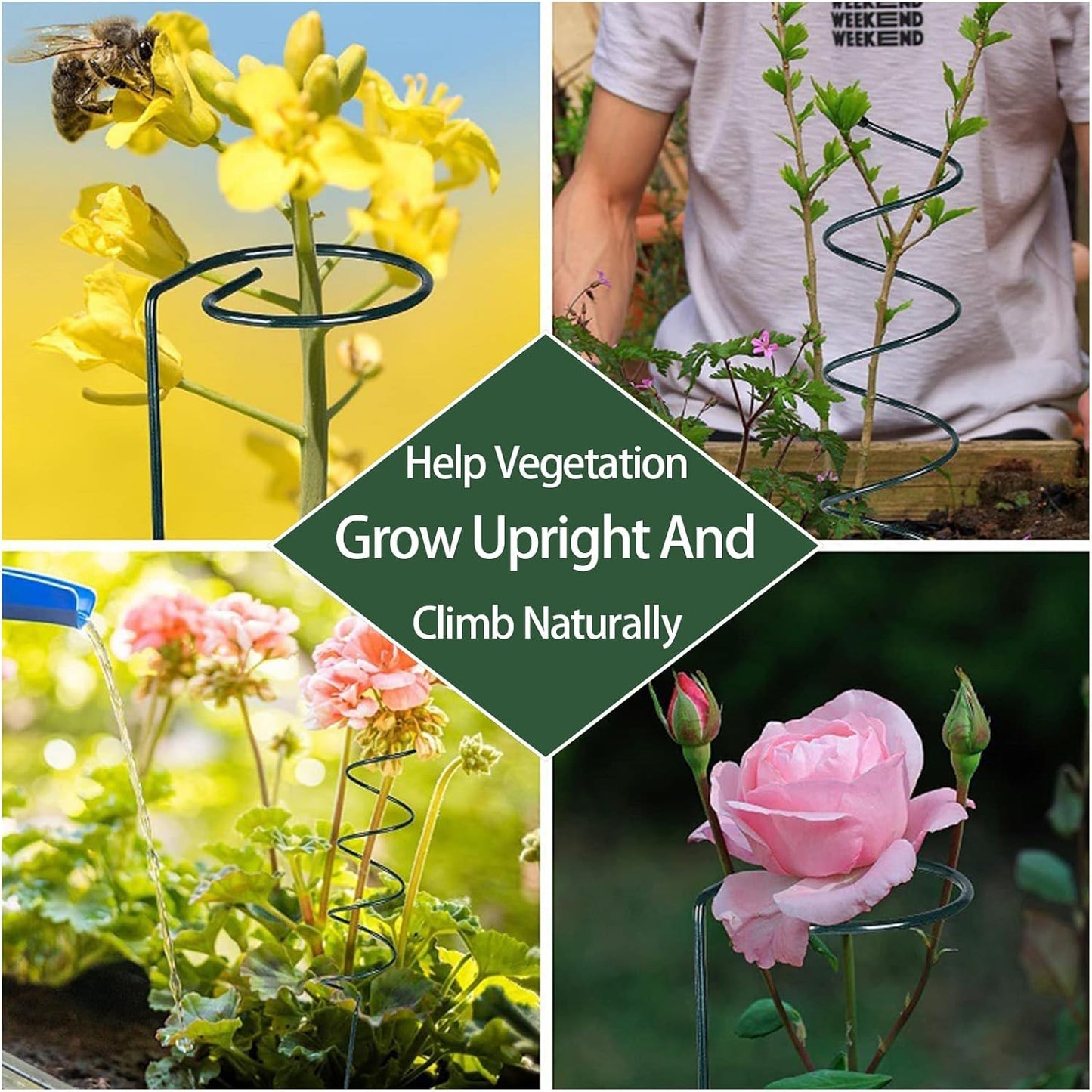 15.75″ Spiral Tomato Plant Stake, Small Spiral Plant Support, Garden Twist Stick for Climbing Plants, Indoor/Outdoor Plant and Rose