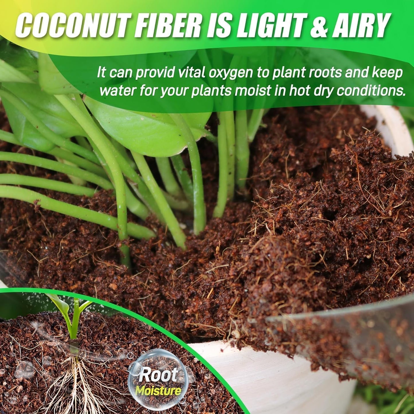 Coco Coir Brick for Plants-8 Pack Premium Coconut Bricks, 100% Organic Peat Moss, Fiber Coconut Husk for Planting, Gardening, Potting Soil Substrate