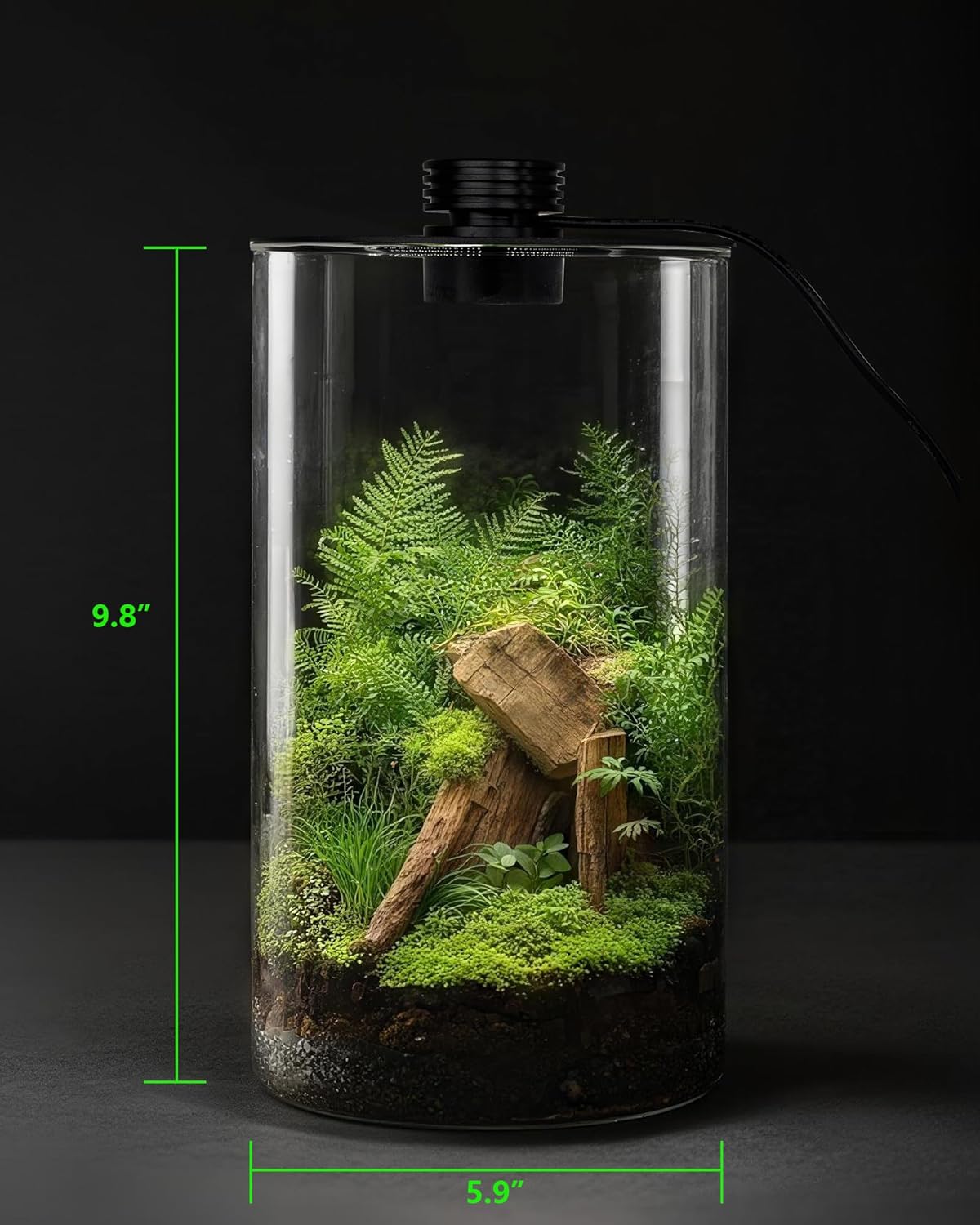 Desktop Glass Terrarium with Grow Light (9.8" H x 5.9" D) - for Succulents, Moss, Mini Gardens, Betta Fish Tanks, Mushroom Cultivation | Indoor Plant Growth | Office/Home Decor | Plant Lover Gifts
