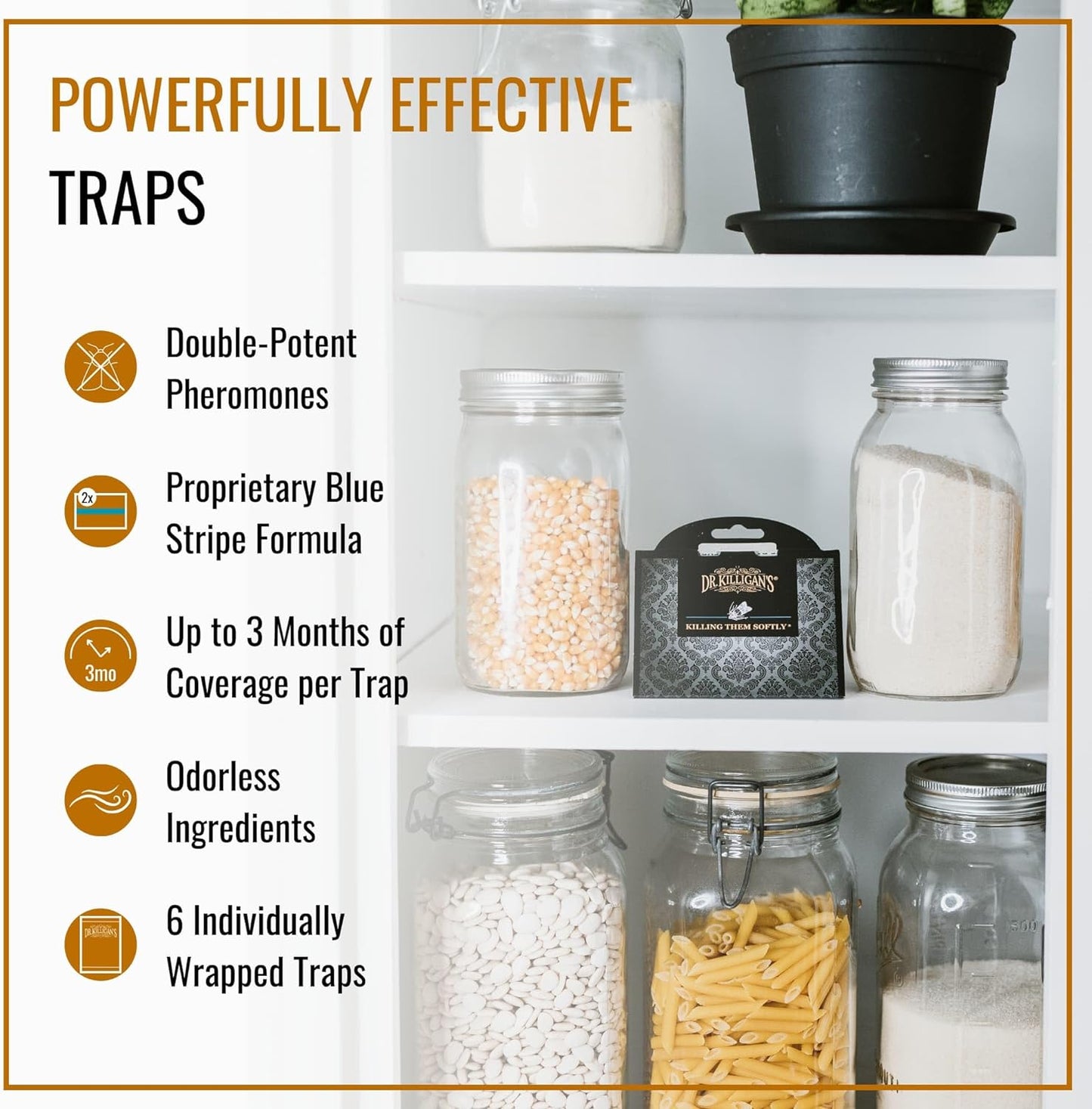 Dr. Killigan's Premium Double Potent Pantry Moth Traps with Pheromones Prime, Sticky Indian Meal Moth Traps for Kitchen, How to Get Rid of Moths in House (6 Pack, Black)