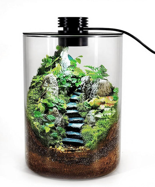 Desktop Glass Terrarium with Grow Light (7.5" H x 5.9" D) - for Succulents, Moss, Mini Gardens, Betta Fish Tanks, Mushroom Cultivation | Indoor Plant Growth | Office/Home Decor | Plant Lover Gifts