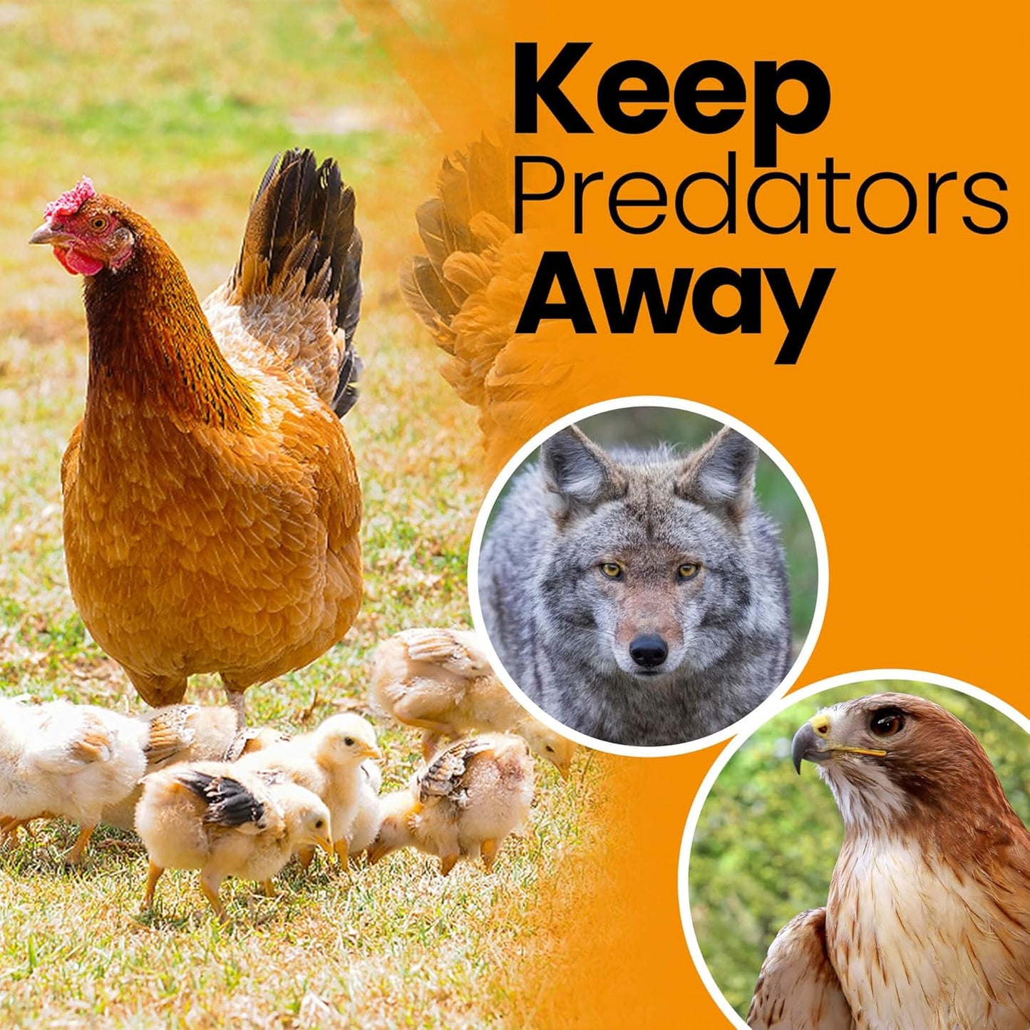 Heavy Duty Bird Netting for Chicken Coops & Runs | Tree & Garden Netting Mesh 1-1/2" | Keep Hawks, Birds & Predators Away | Bird Netting for Blueberry Bushes, Vegetables & Fruit (50' x 100')