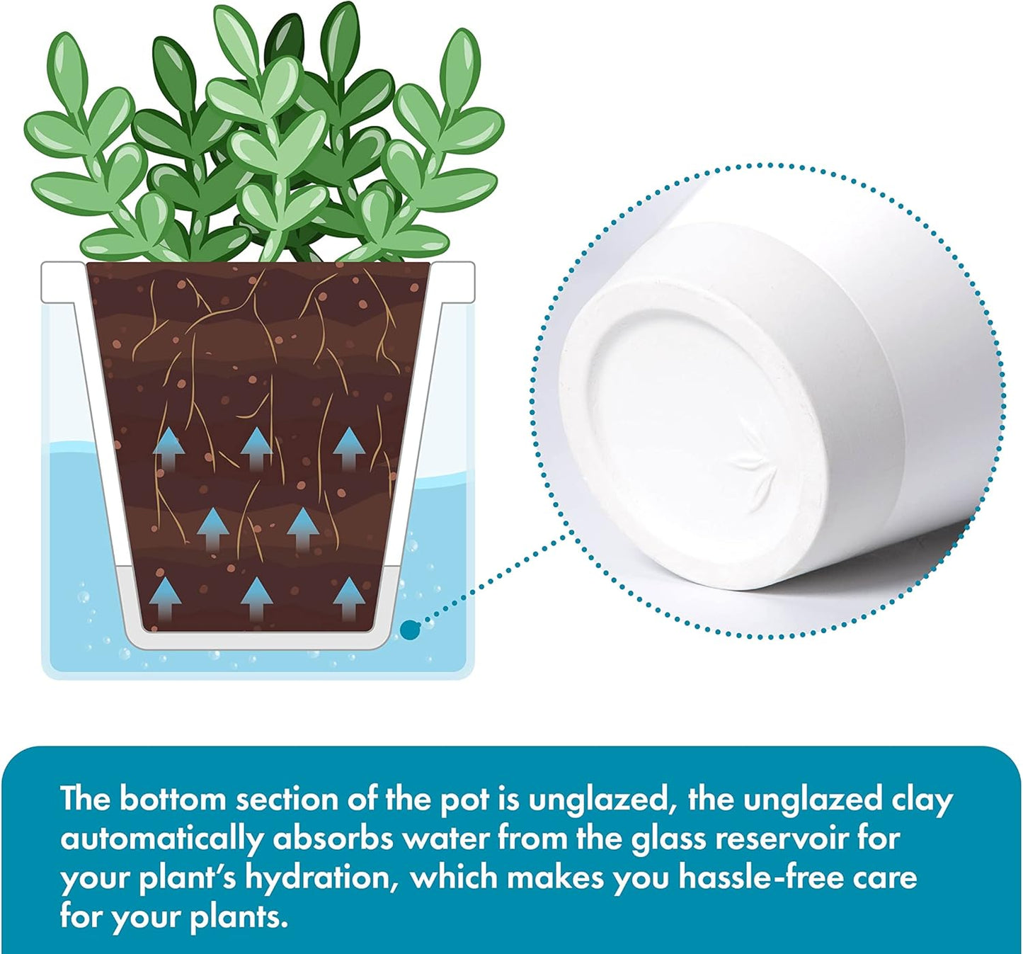 D'vine Dev 4 Inch Design Self Watering Planter for Indoor Plants, White Terracotta Pots with Cylinder Glass Cup, Set of 2, 37-Y-A-2