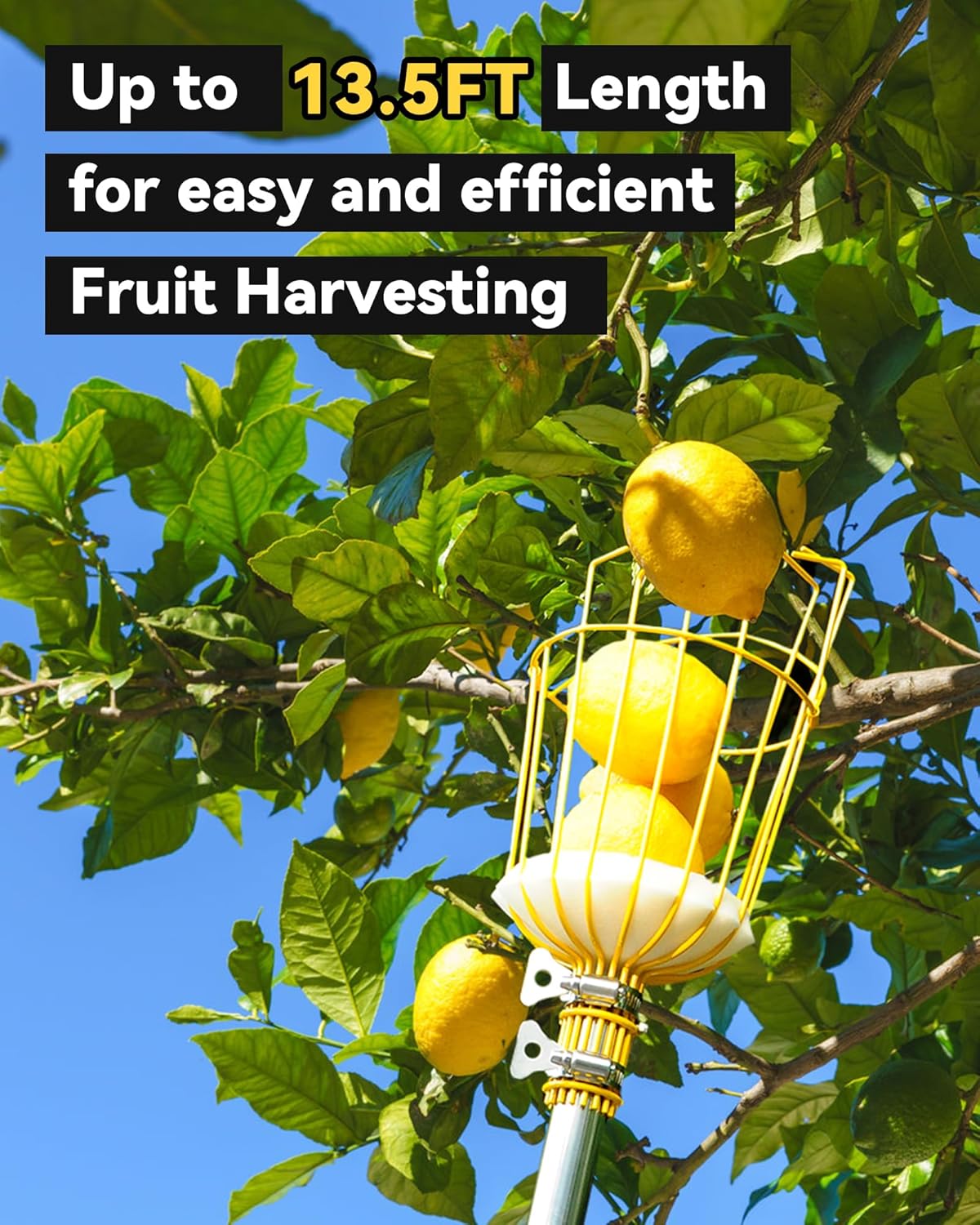 9FT Fruit Picker, Apple Picker Tool with Adjustable Pole and Basket, Long Reach Mango Grabber Tool, Tree Fruit Catcher for Picking Lemon Pear Orange Avocado Peach Citrus