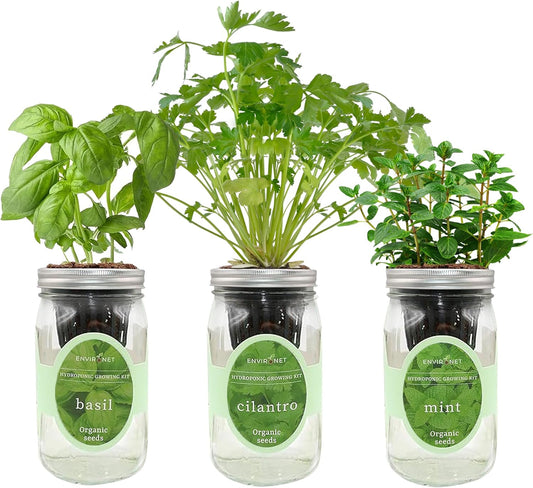 Hydroponic Herb Growing Kit Set, Self-Watering Mason Jar Herb Garden Starter Kit Indoor, Window Herbs Garden, Grow Your Own Herbs from Organic Seeds (Basil, Cilantro and Mint)