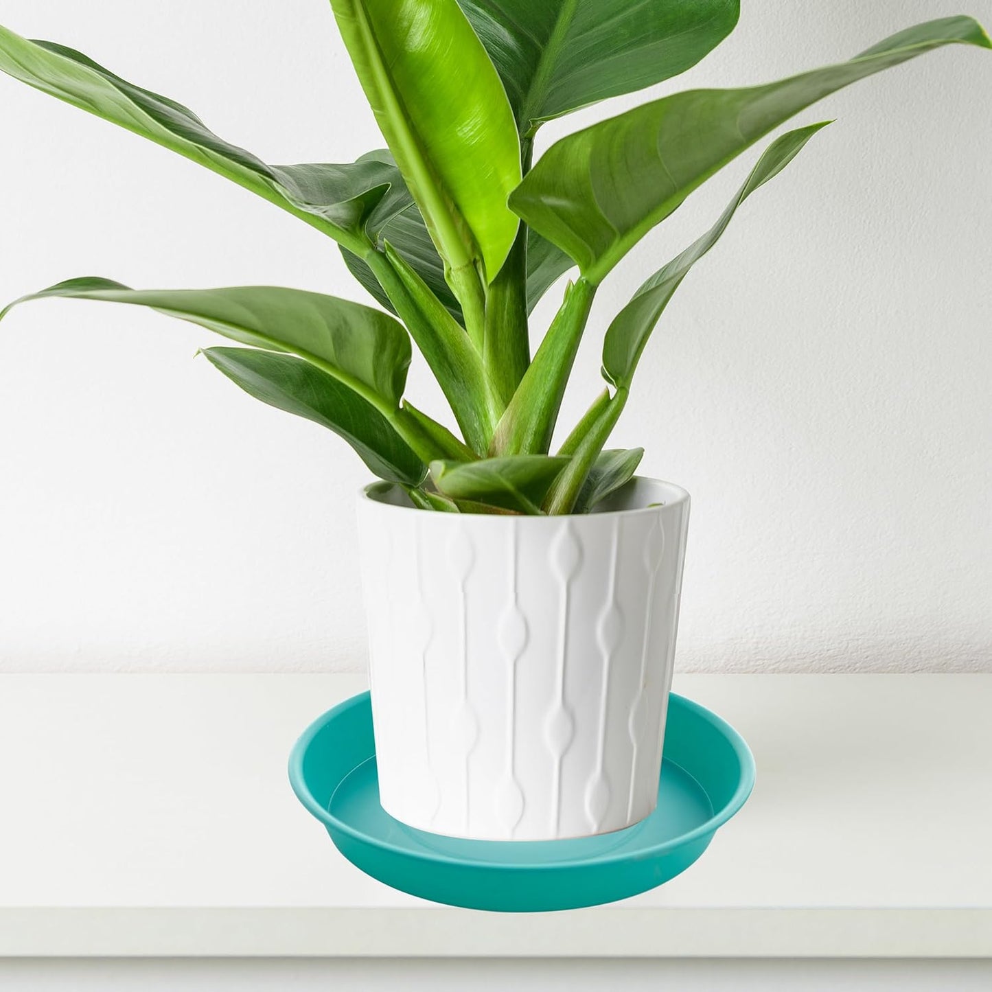 2 Pack of Bird Bath Bowl 12", 1.6" Depth, 10 12 inch Birdbath Bowls Dish Only for The Garden, Large Plant Saucer (12", Teal)