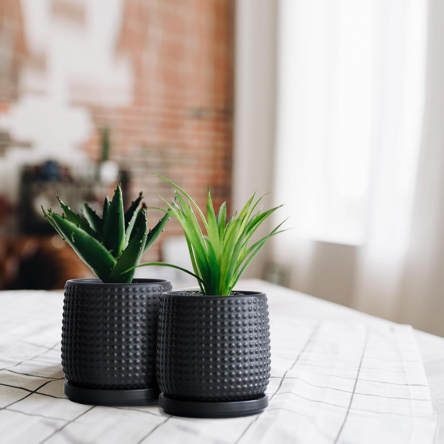 D'vine Dev Set of 2 Ceramic Plants Pots, 4 Inch Beaded Stoneware Flower Pot for Plants with Drainage Hole and Saucer, Ebony Matte, 27-E-Z-6