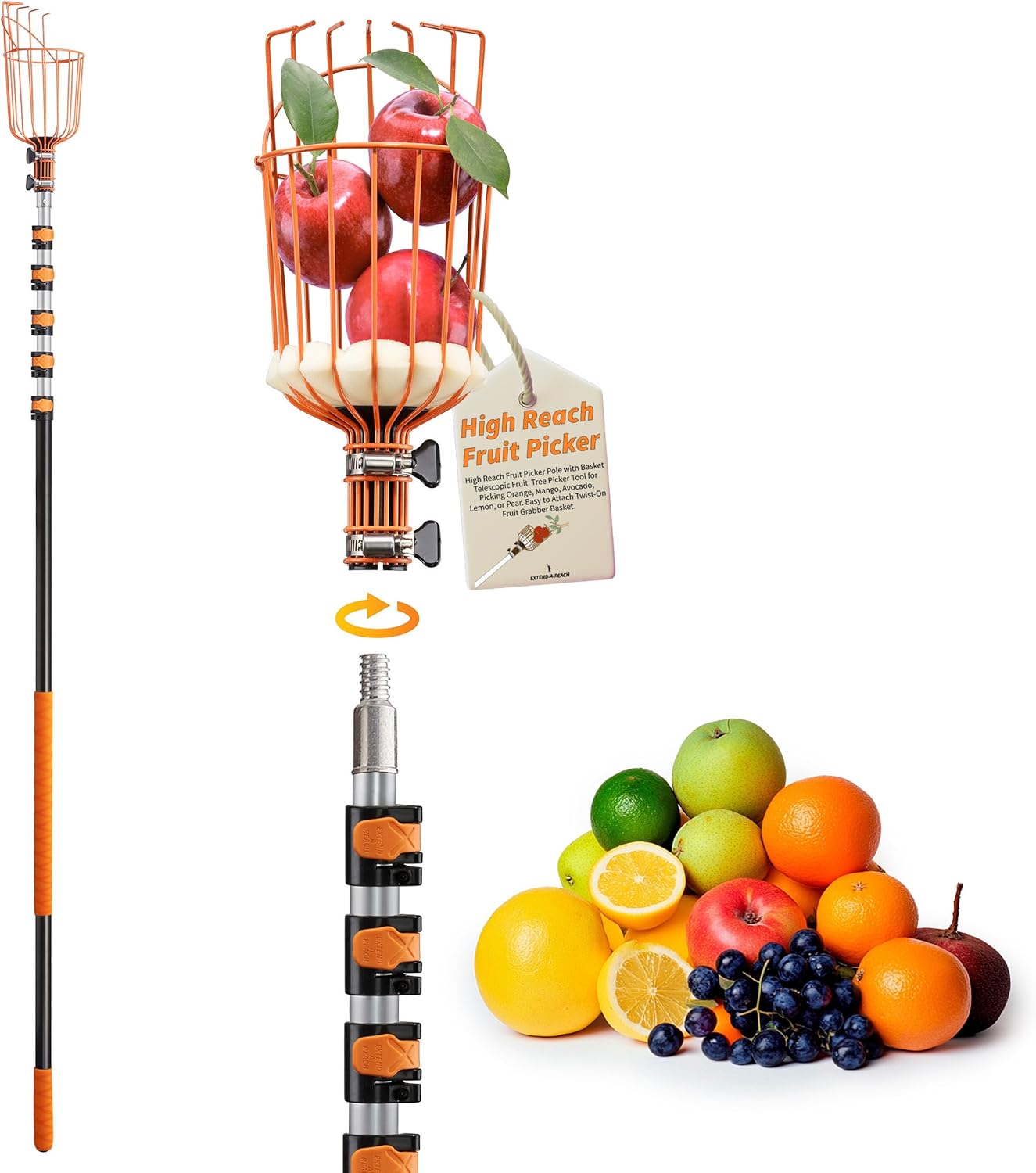 Fruit Picker Pole with Basket Telescoping 5-24 ft Apple Picker Extension Pole // Telescopic Fruit Tree Picker Tool for Picking Orange Mango Avocado Lemon Pear // The Ultimate High-Reach Fruit Grabber