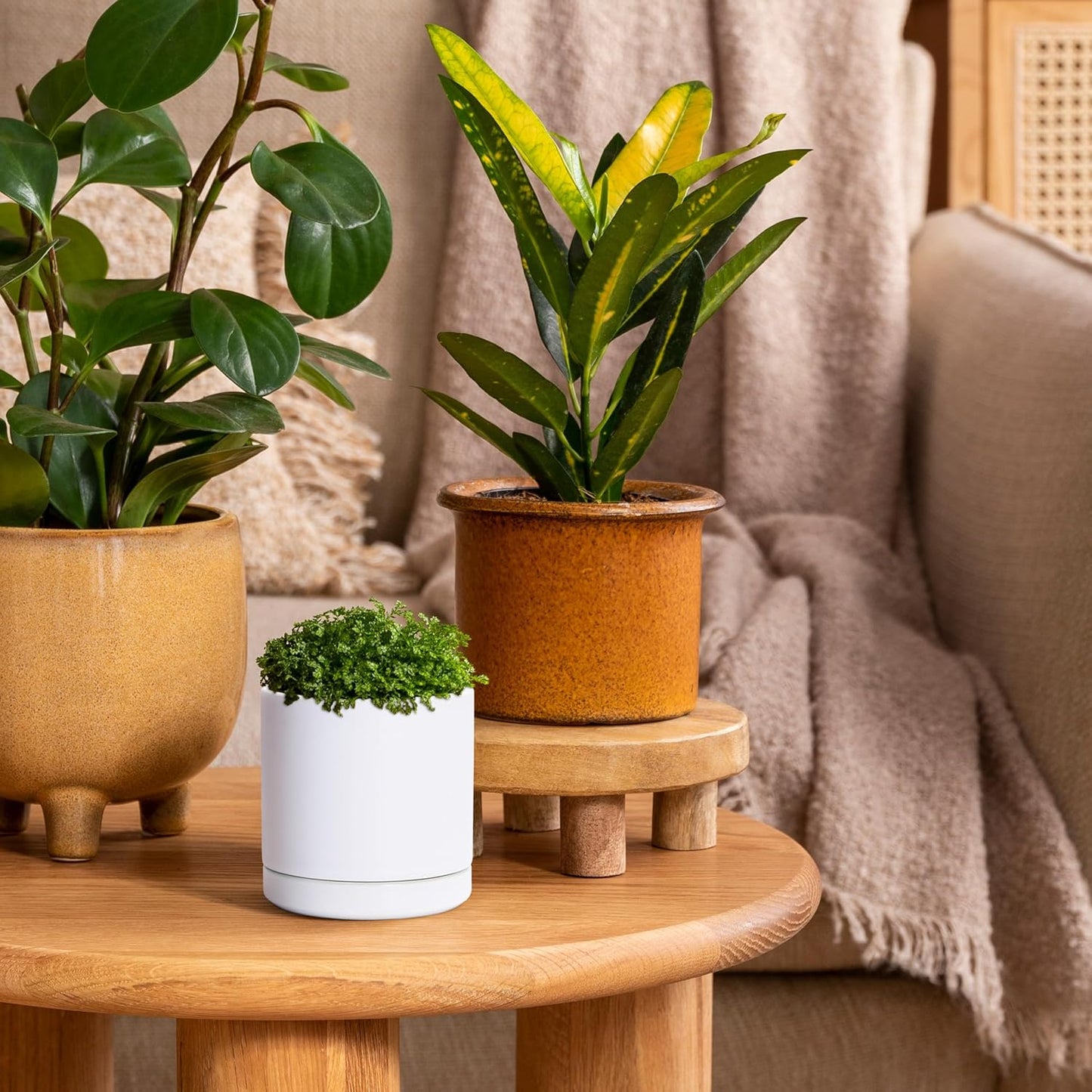 D'vine Dev 3.5 Inch Ceramic Planter Pot with Drainage Hole and Saucer, Indoor Cylinder Round Planter Pot, White, 94-O-A-1