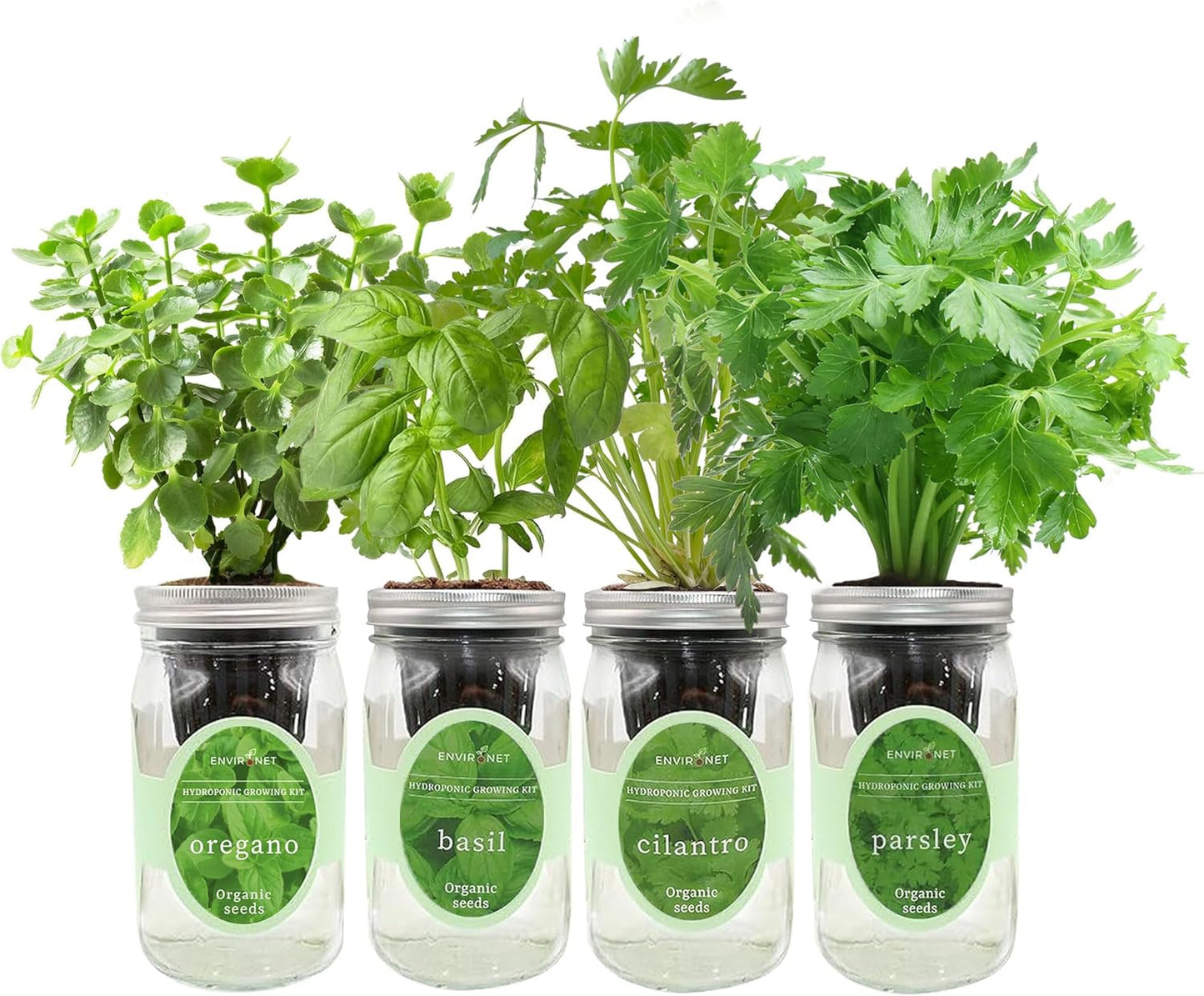 Hydroponic Herb Growing Kit Set, Self-Watering Mason Jar Herb Garden Starter Kit Indoor, Grow 4 Kinds of Herbs from Seeds (Cilantro,Basil,Parsley&Oregano)