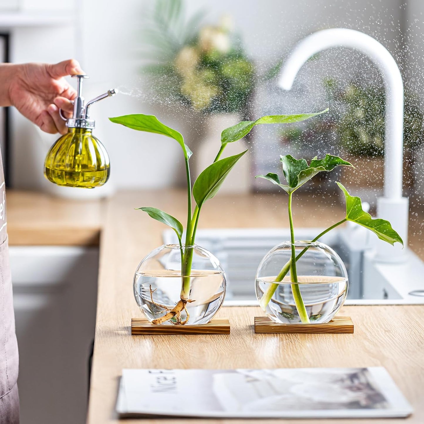 Glass Planter Propagation Station with Wooden Base - Clear Oblate Hydroponic Vase, Decorative Desktop Flower Vase for Home, Office, Windowsill - Gift for Plant Lovers (4)