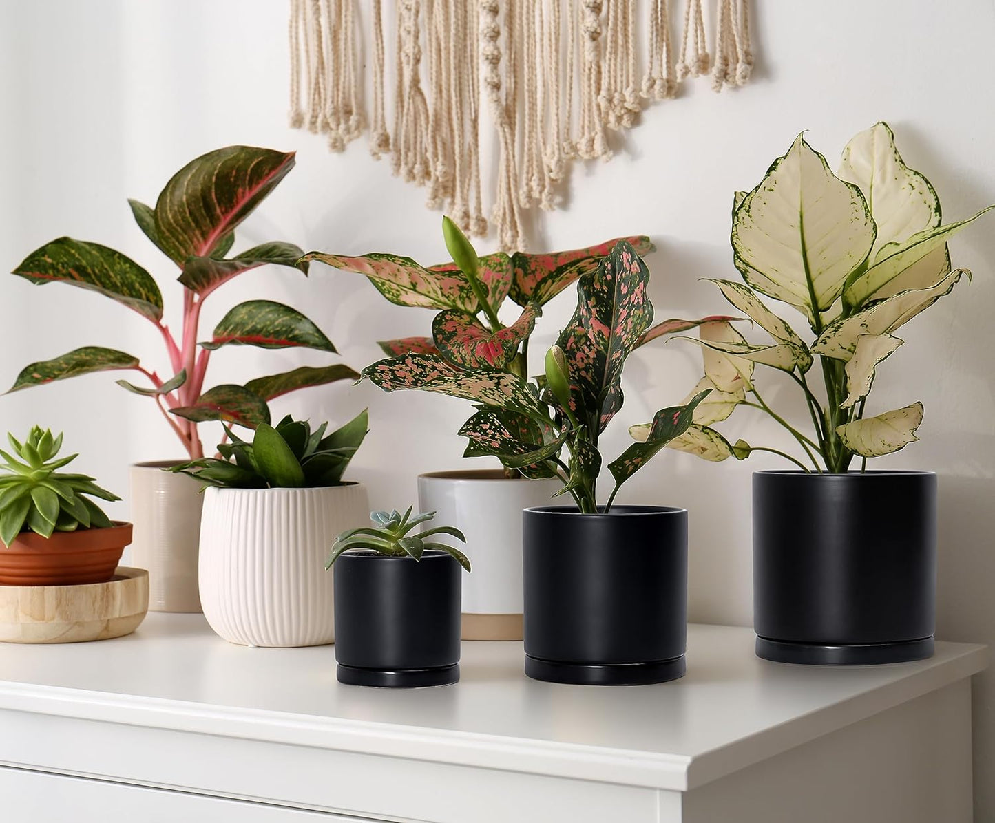 D'vine Dev Black Terracotta Pots for Plants, 4.2 Inch 5.3 Inch 6.5 Inch, Succulent Planter Pot with Drainage and Saucer, 40-T-A-2