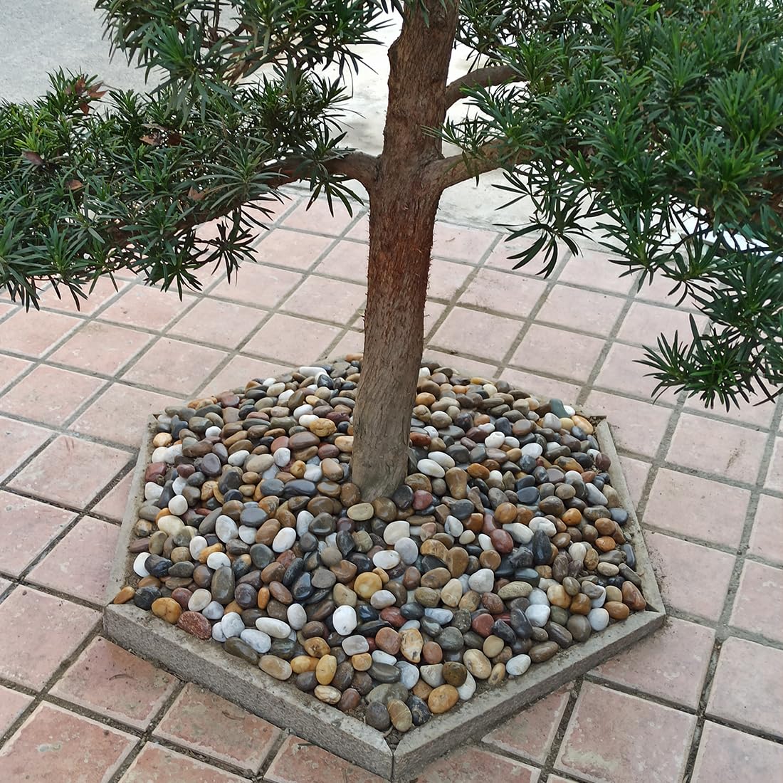 20lbs Large River Rocks for Landscaping, 3-4" Decorative Pebbles for Garden Design, Hand-Picked Smooth Stones for Fish Tank, Flower Pots, Indoor Water Fountains, Pathways, Backyard, Mixed Color