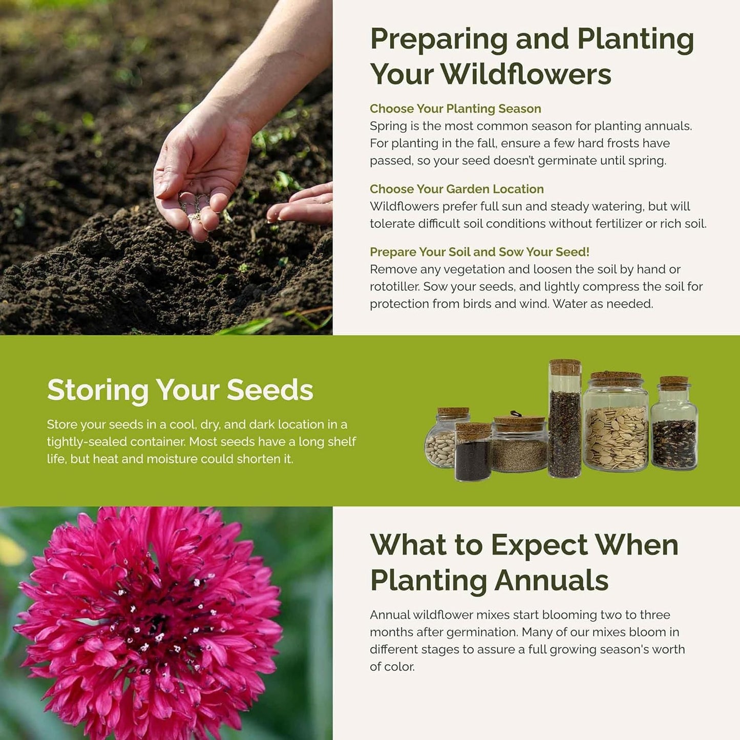 Eden Brothers Pink Perfection Flower Mixed Seeds for Planting, 1/4 lb, 120,000+ Seeds with Zinnia, Cosmos Versailles | Attracts Pollinators, Plant in Spring or Fall, Zones 3, 4, 5, 6, 7, 8, 9, 10