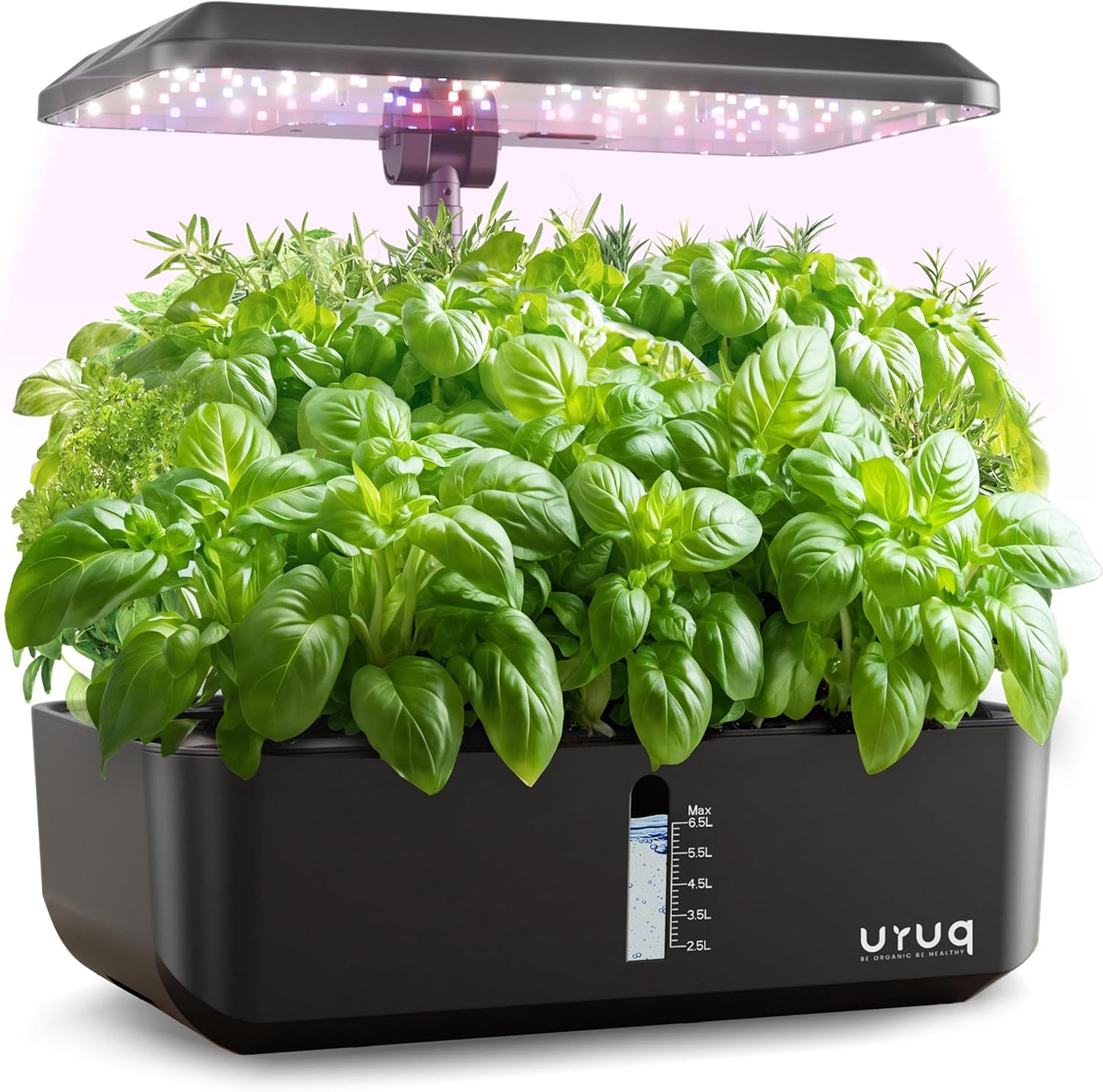 Hydroponics Growing System Indoor Garden: URUQ 12 Pods Indoor Gardening System with LED Grow Light Height Adjustable Plants Germination Kit Quiet Smart Pump - Hydroponic Planter Fresh Harvest Black