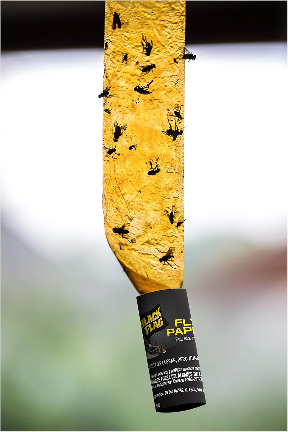 Black Flag Fly Paper 4 Traps, Catches All Flying Insects, 24 Pack