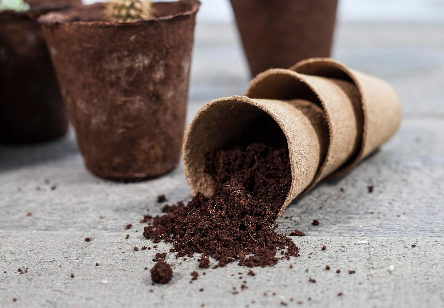 Daniel's Plants 4" Naked Pots | Large Natural Plantable Seed Starter Pots | OMRI-Listed Biodegradable for Seedlings | Enhanced Aeration | Earth Friendly - Peat Free | 10 Pack 4 Inch Round