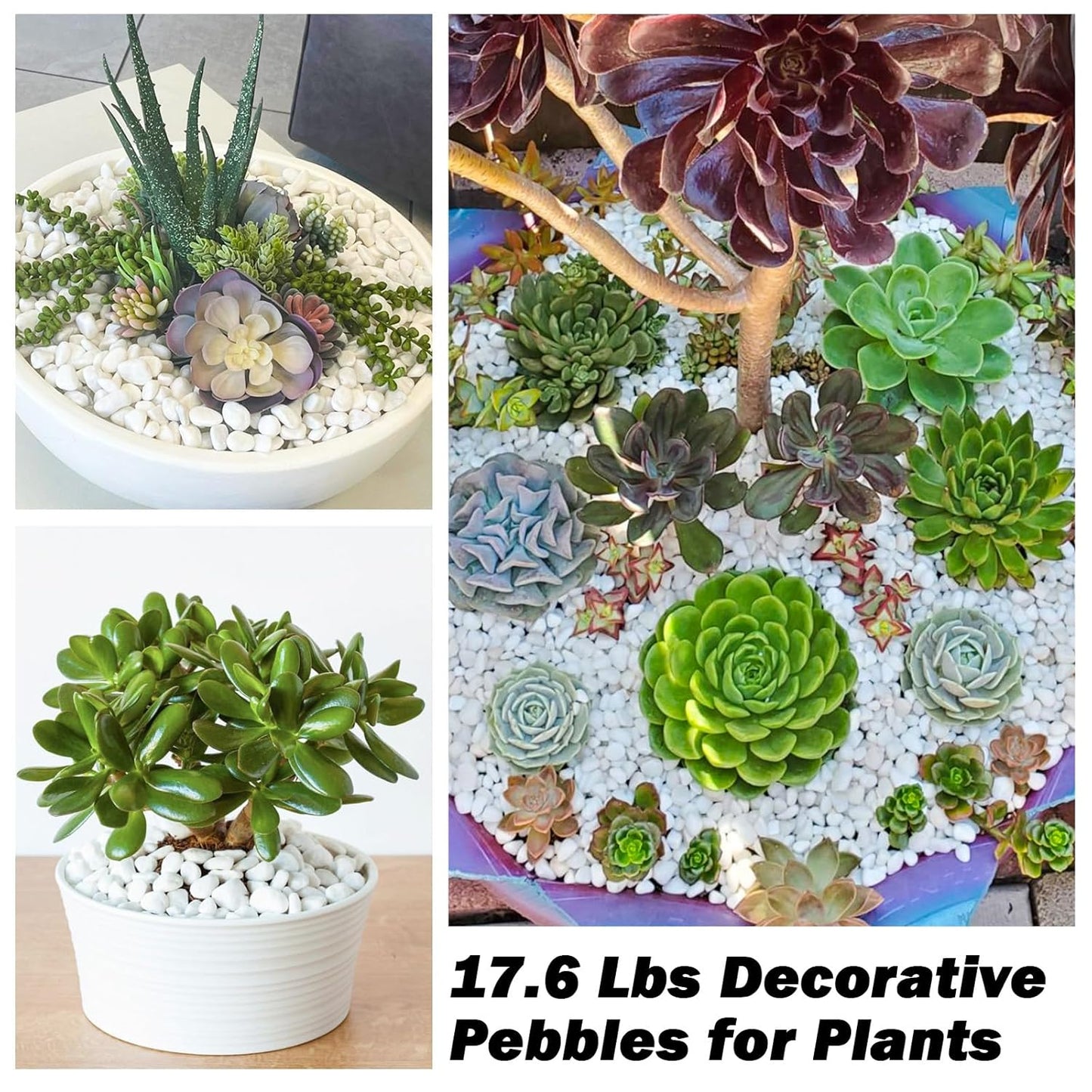 17.6 Lbs Natural River Rocks for Plants 1''-2'' Large Landscaping Garden Stones White Aquarium Gravel Decorative Pebbles for Indoor Outdoor Planters, Big Terrarium Rocks in Bulk, Home Decor