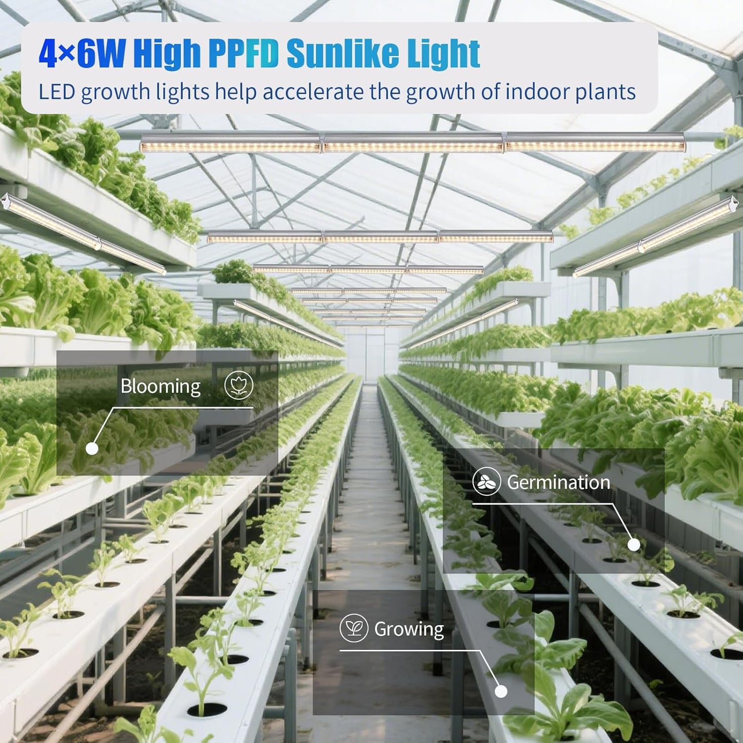 1FT T5 4-Pack Grow Lights for Indoor Plants, 3000K Warm Full Spectrum LED , Plant Grow Lamps with Side Switch, Suitable for Greenhouse Seed Starting, Vegetables, Plug and Play, Easy Installation