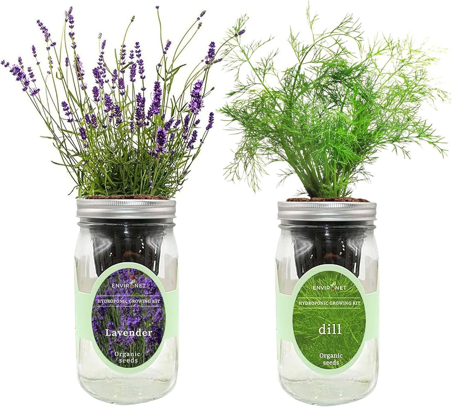 2-Pack Hydroponic Mason Jar Herb Garden Kit, Indoor Herb Garden Self-Watering Starter Kit (Dill,Lavender)