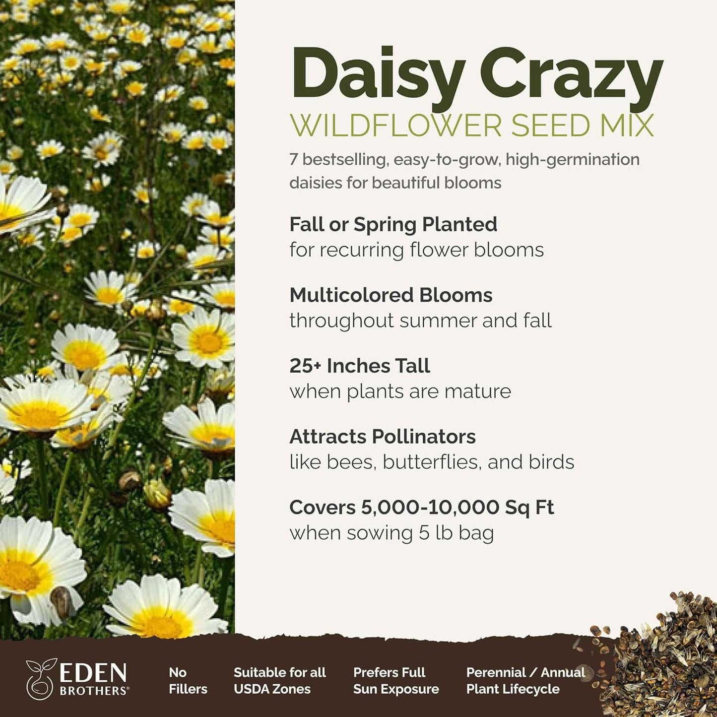 Eden Brothers Daisy Crazy Flower Mixed Seeds for Planting, 5 lb, 2,400,000+ Seeds with Creeping, Painted, Yellow Daisy | Attracts Pollinators, Plant in Spring or Fall, Zones 3, 4, 5, 6, 7, 8, 9, 10