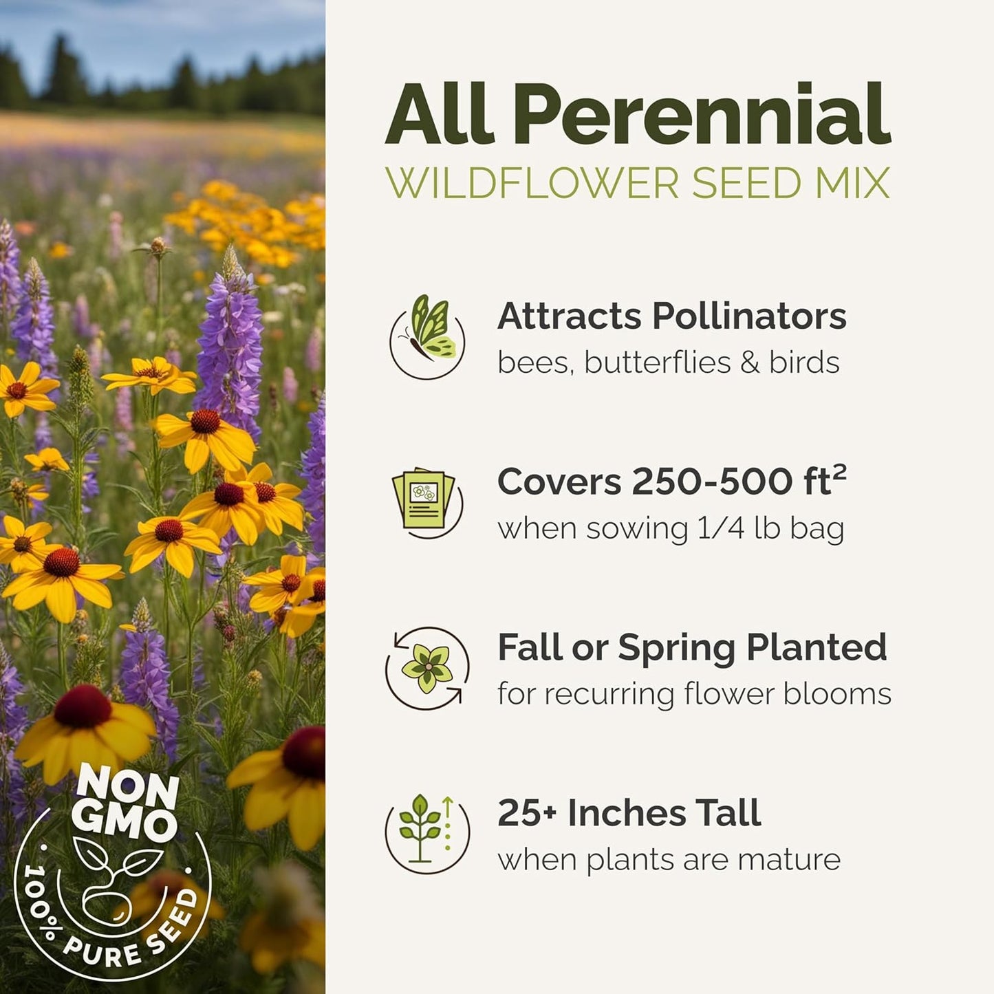 Eden Brothers All Perennial Wildflower Mixed Seeds for Planting, 10 lb, 4,800,000+ Seeds with Lupine, Shasta Daisy | Attracts Pollinators, Plant in Spring or Fall, Zones 3, 4, 5, 6, 7, 8, 9, 10
