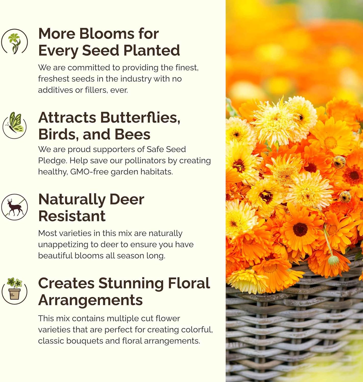 Eden Brothers Partial Shade Wildflower Mixed Seeds for Planting, 25 lb, 12,000,000+ Seeds with Sweet William, Foxglove | Attracts Pollinators, Plant in Spring or Fall, Zones 3, 4, 5, 6, 7, 8, 9, 10