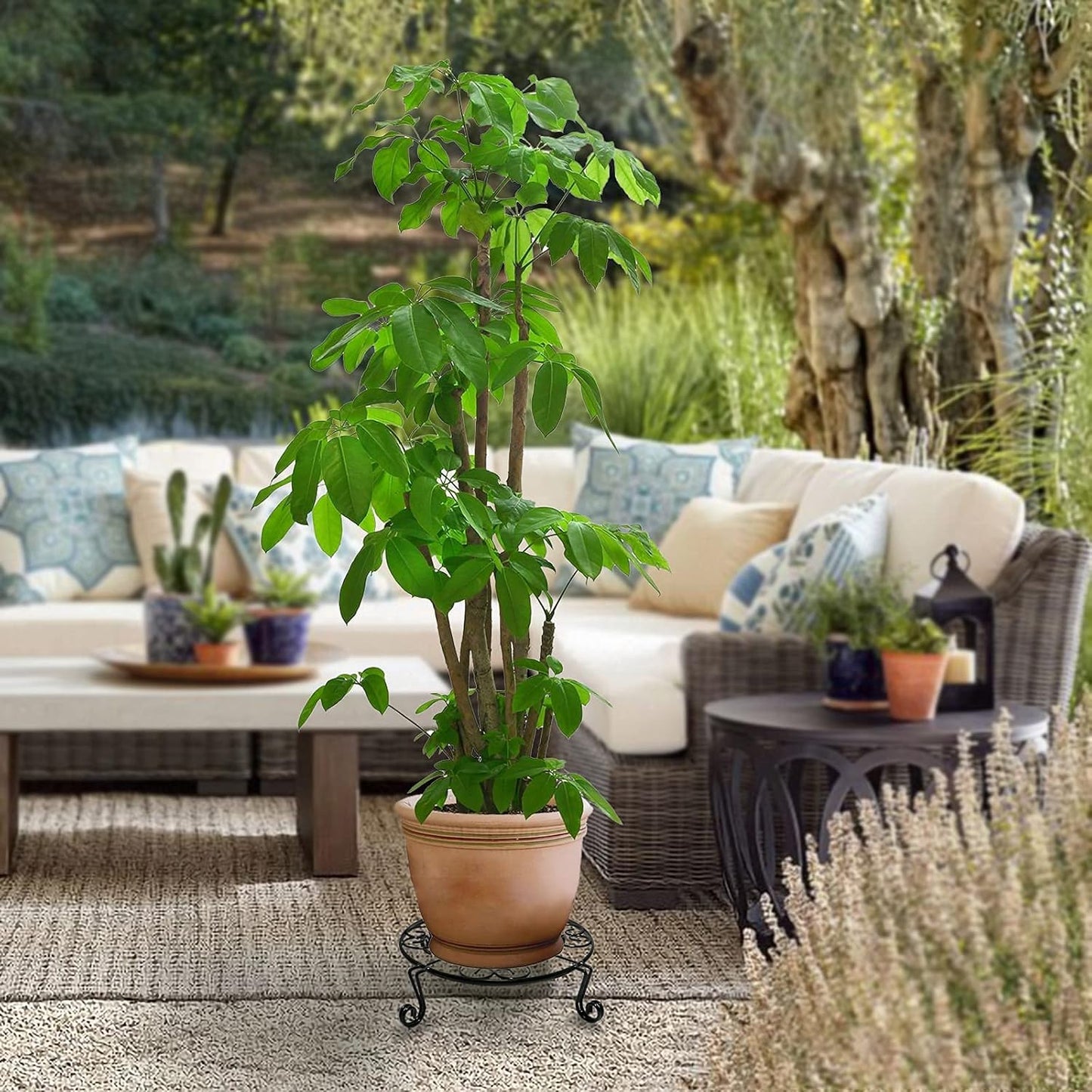 2 pack 10" 12" Rustproof Black Metal Plant Stands Heavy Duty Plants Holder Outdoor Indoor, Round Wrought Iron Sturdy Flower Planter Pot Stand, Corner Gardening Inside Potted Plant Risers