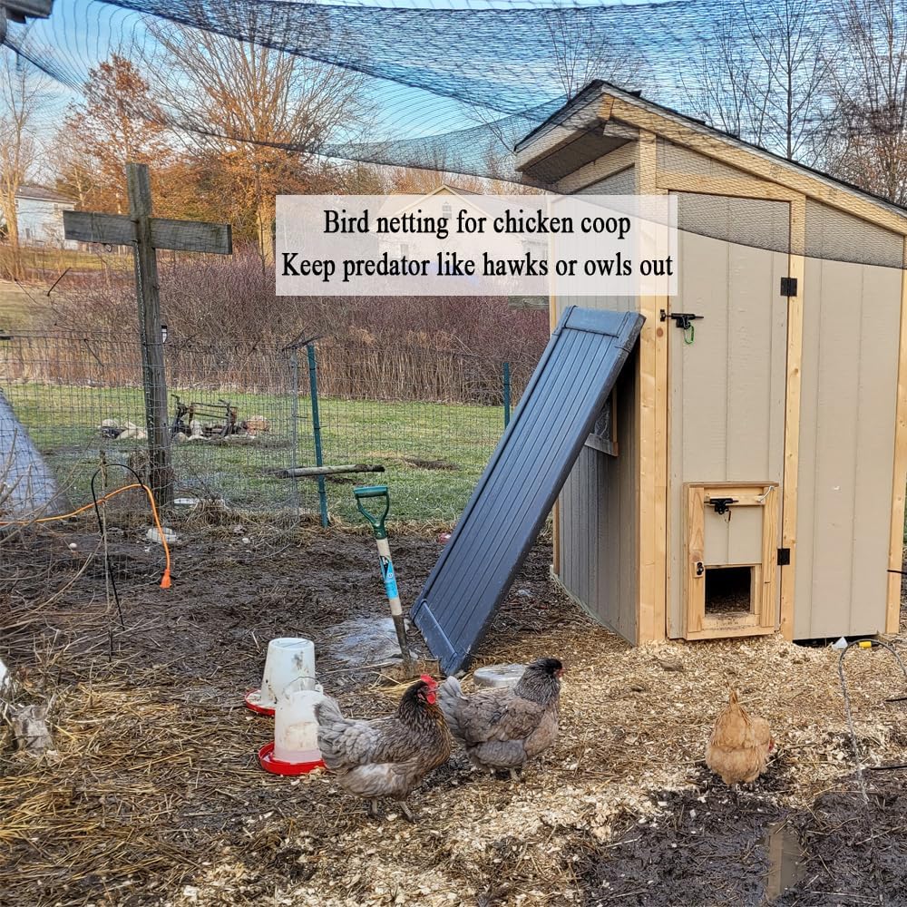 Bird Netting for Chicken Coop 25x25 Ft, 1/2" Mesh, Strong Woven Poultry Netting Roof Cover for Chicken Run, Heavy Duty Bird Net for Fruit Trees, Blueberry, Vegetables, Garden Protection