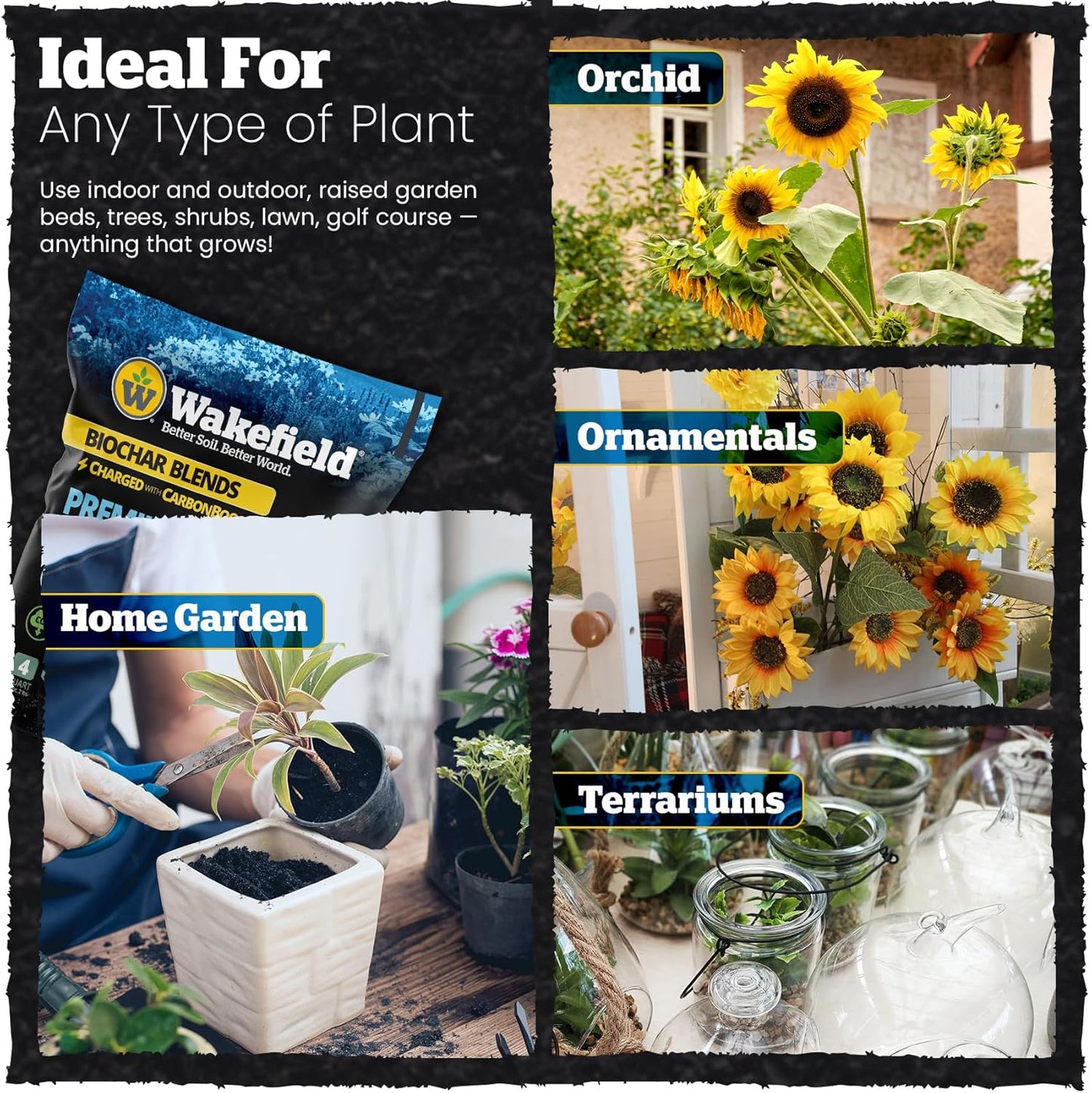 Wakefield Premium Indoor Potting Soil - Professional Biochar & Probiotics with CarbonBoost Technology - Ultimate Organic Potting Mix for Indoor & Outdoor Plants, Succulents & House Plants - 4Quarts