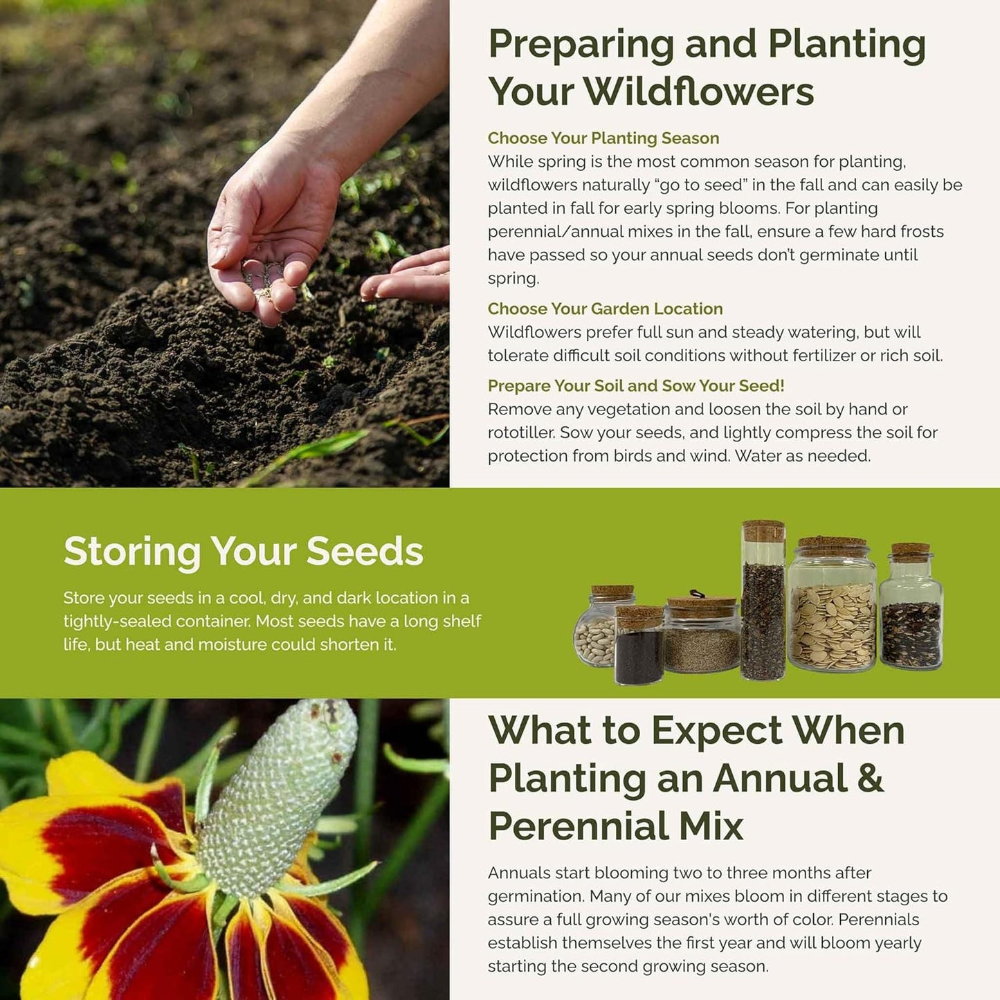 Eden Brothers Conehead Flower Mixed Seeds for Planting, 5 lb, 2,400,000+ Seeds with Prairie Coneflower, Mexican Hat | Attracts Pollinators, Plant in Spring or Fall, Zones 3, 4, 5, 6, 7, 8, 9, 10