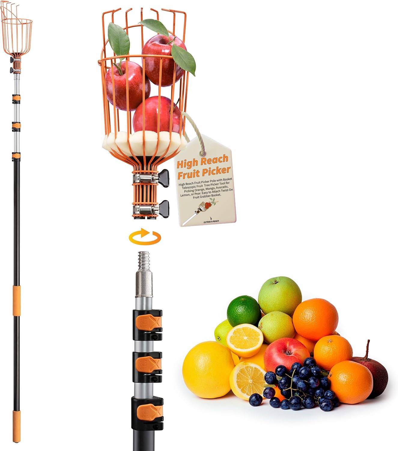 Fruit Picker Pole with Basket Telescoping 4-12 ft Apple Picker Extension Pole // Telescopic Fruit Tree Picker Tool for Picking Orange Mango Avocado Lemon Pear // The Ultimate High-Reach Fruit Grabber