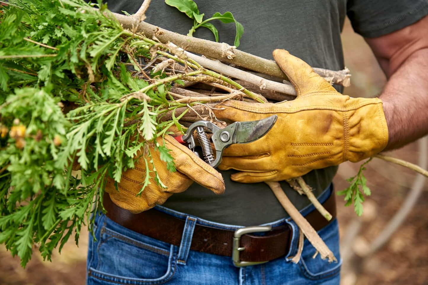Corona BP 3180D Forged Classic Bypass Pruner with 1 Inch Cutting Capacity, 1", Red