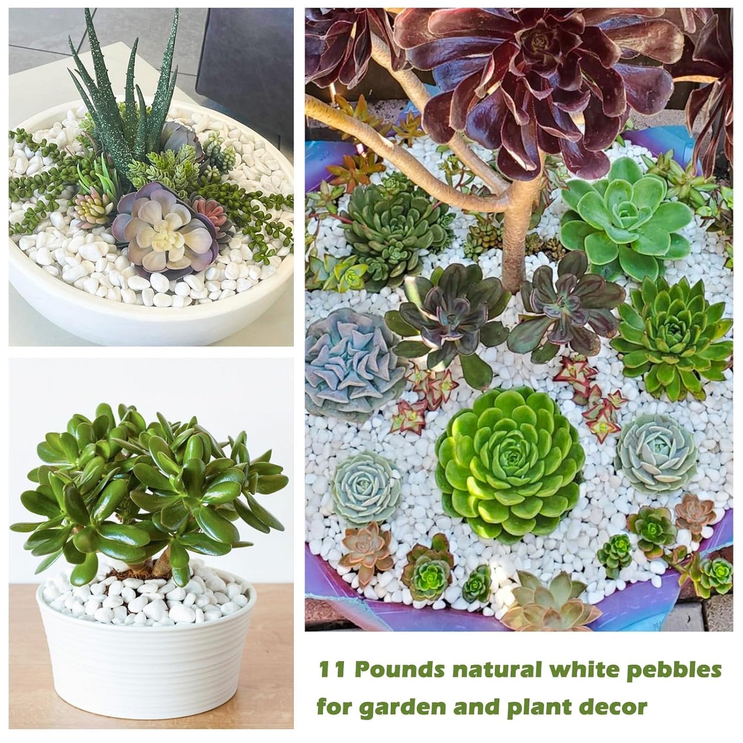 11 Lbs Natural River Rocks for Plants 1.6-2.5 inches Large White Landscaping Garden Stones White Aquarium Gravel Decorative Pebbles for Indoor Outdoor Planters Home Decor