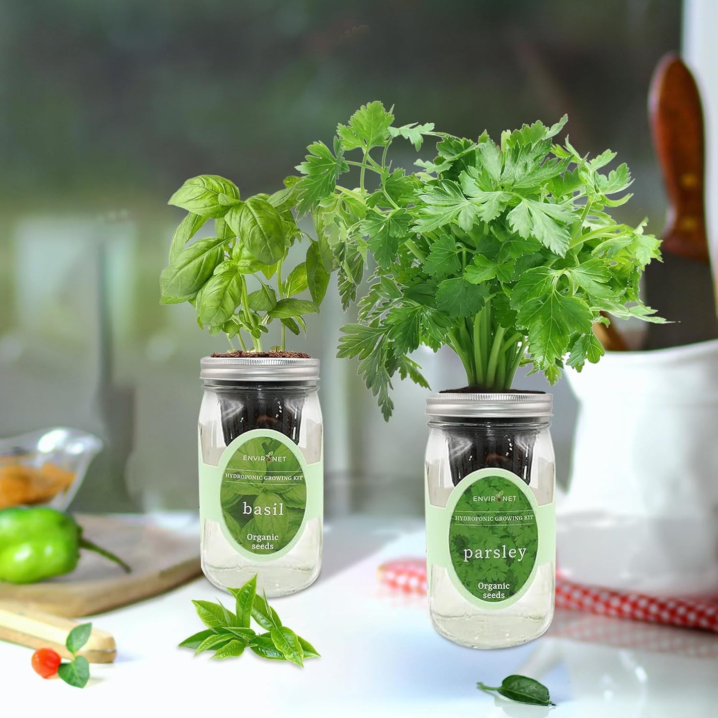 2-Pack Hydroponic Mason Jar Herb Garden Kit, Indoor Herb Garden Self-Watering Starter Kit (Basil, Parsley)