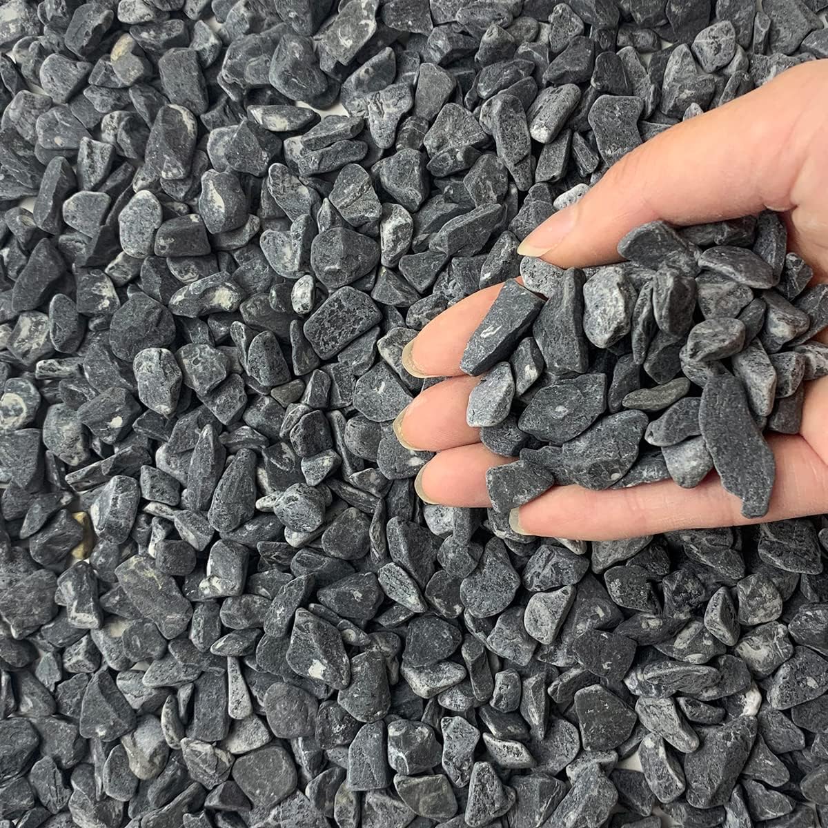 5lbs Black Pea Gravel, 3/8 Inch Decorative Pebbles Succulent Rocks, Black River Rocks Stones for Planters Vase Landscaping and Outdoor Garden Rock