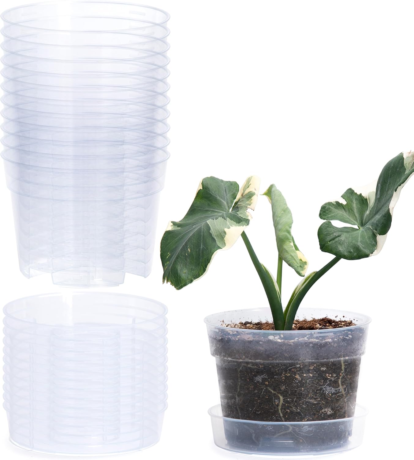 6 Inch Clear Plastic Plant Pot with Drainage Holes, Interlocking & Detachable Tray - Deep Saucer - Durable BPA-Free Plastic, Transparent Design, Raised Base for Airflow, Set of 12, 92-X-B-4