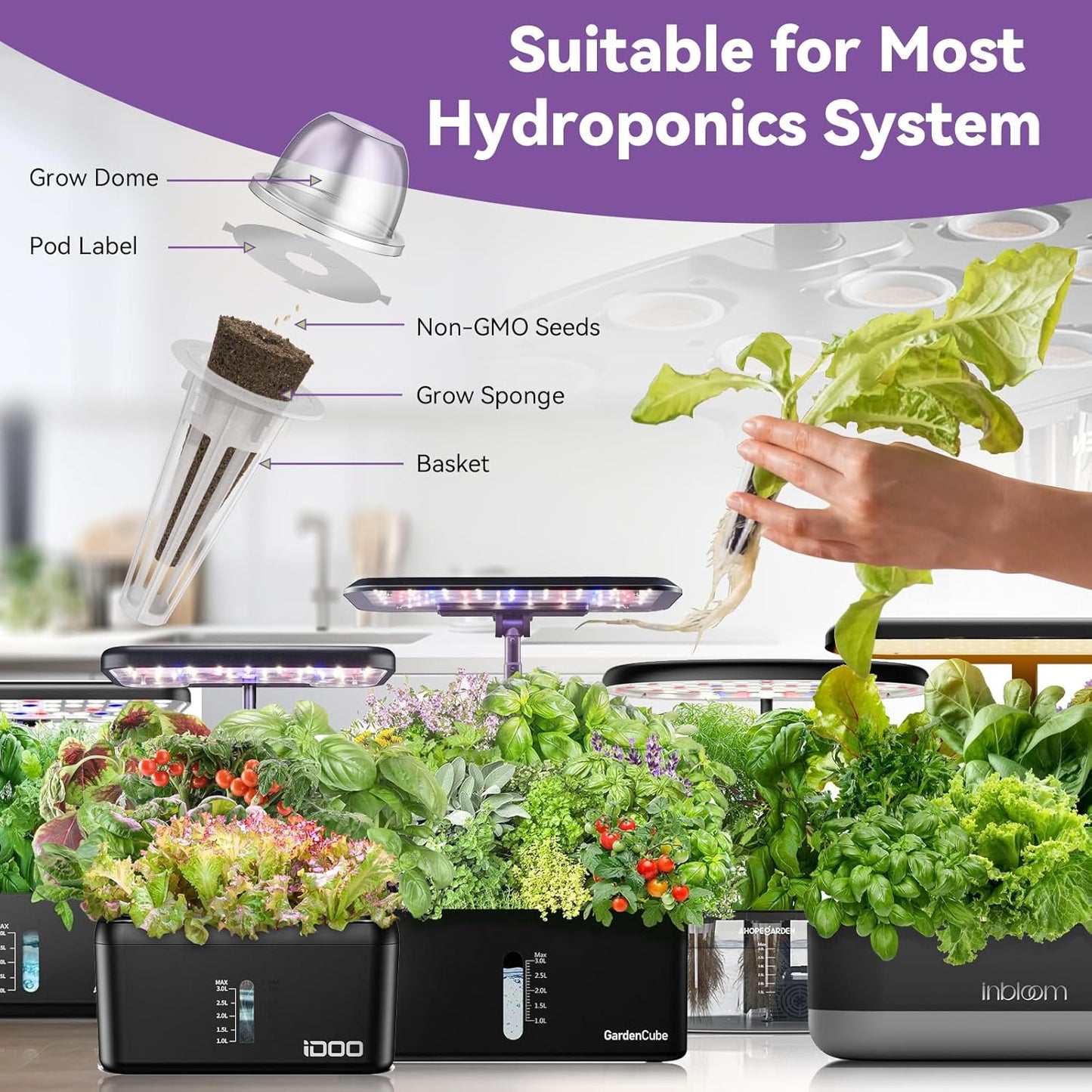 inbloom Salad Romaine Lettuce Seed Pod Kit for AeroGarden, Ahopegarden Hydroponics Growing System, 12-Pods (350+ Seeds, Include American Fast Lettuce, Parris Island Lettuce, Butter Lettuce)