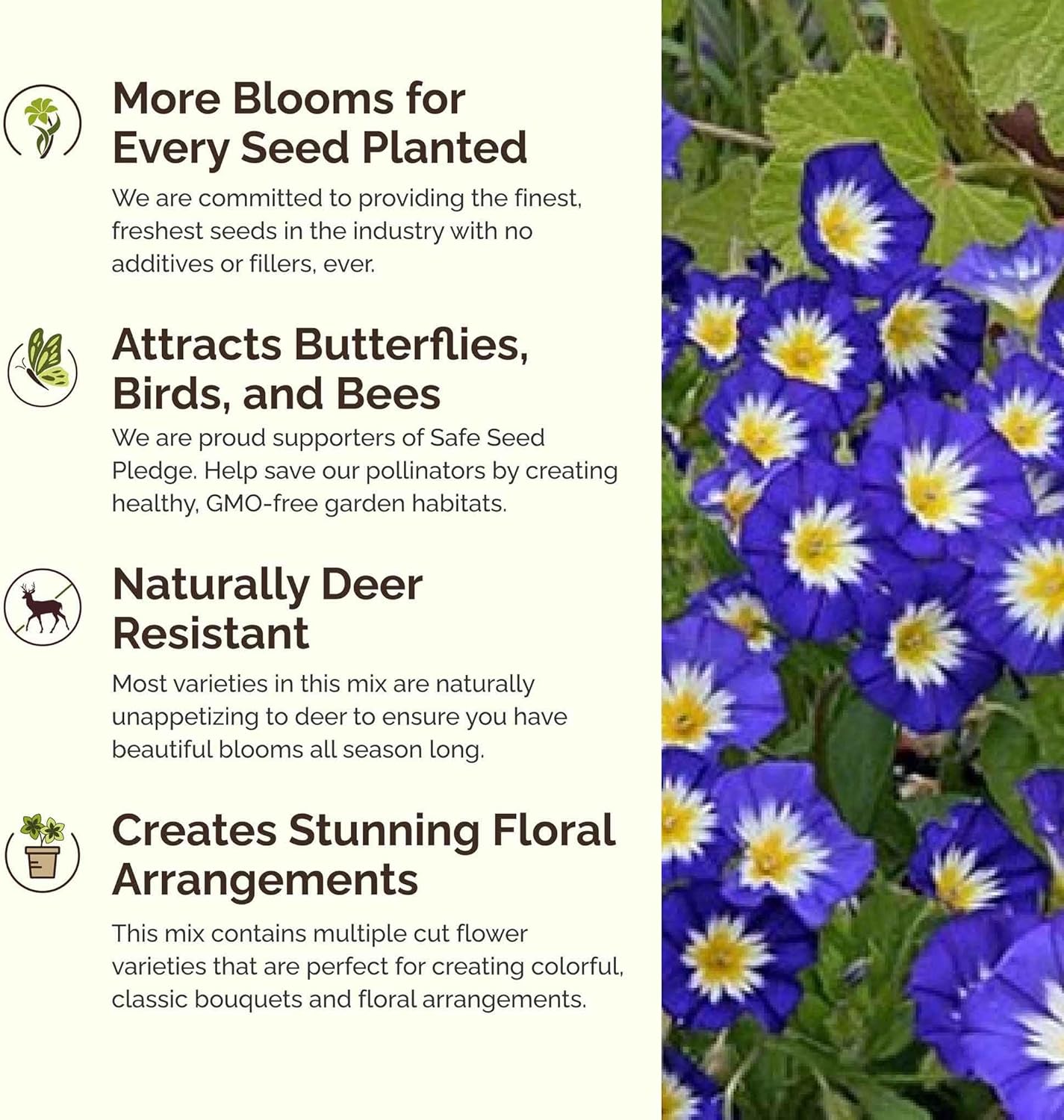 Eden Brothers Blue Ribbon Flower Mixed Seeds for Planting, 5 lb, 2,400,000+ Seeds with Blue Bell, Cornflower Blue, Chicory, Attracts Pollinators, Plant in Spring or Fall, Zones 3, 4, 5, 6, 7, 8, 9, 10