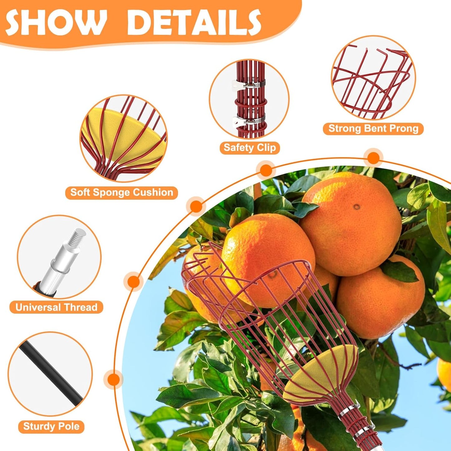 SISIUPASSIE 20FT Reach Fruit Picker, Apple Picker Pole with Basket Telescoping Tool for Apple Lemon Orange Mango Avocado Fruit Tree Picking