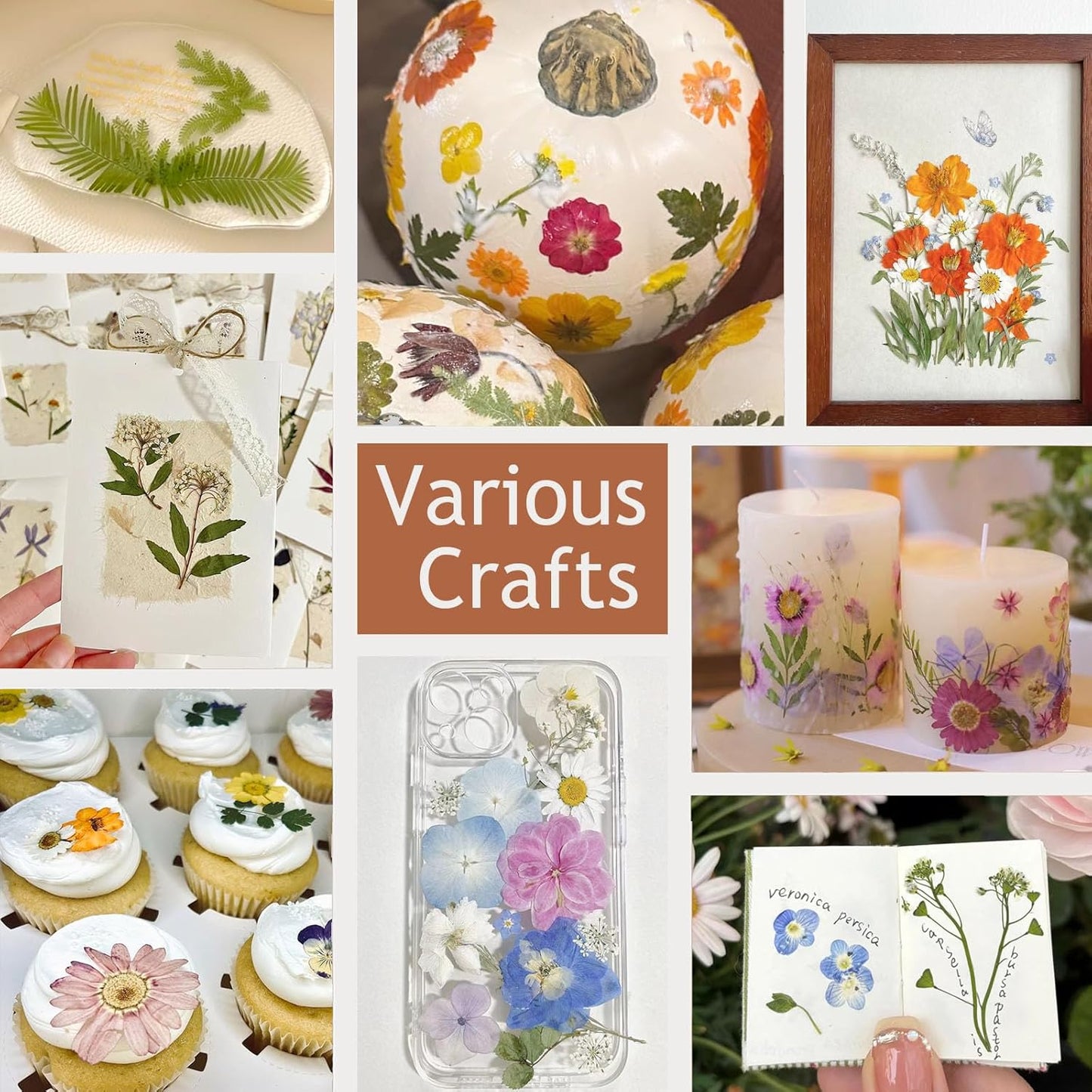 48 Pcs Mix Natural Dried Pressed Flowers for Cake Decorating, Real Dry Flower for Resin Jewelry Making, DIY Art Crafts - Lovely