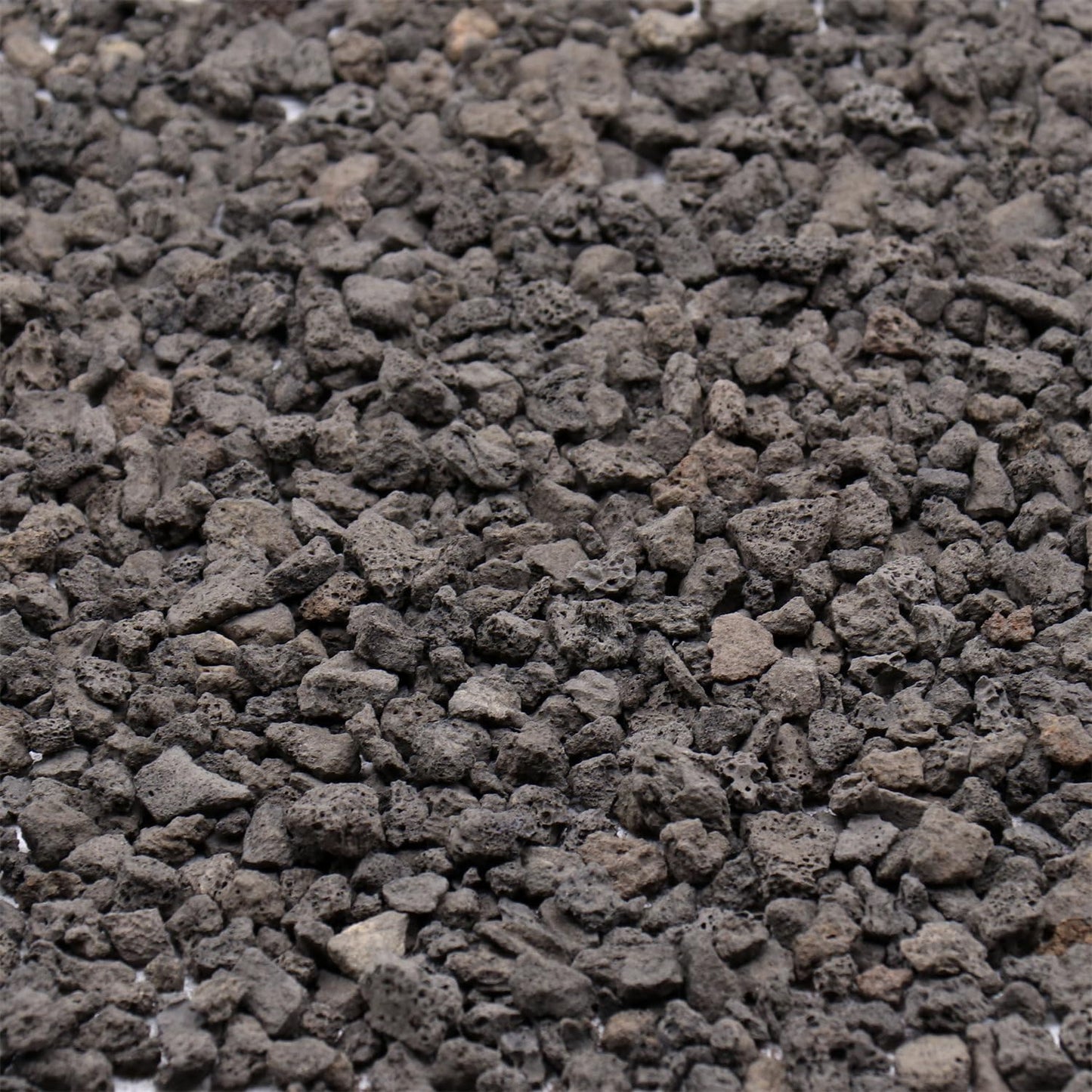 Volcanic Rock for Plants. Black Color Lava Rock. 1/5 Inch - 10 lbs for Potting Soil, Succulents, Pots, Plants, Gardening, Indoor, Crafting, Vase Fillers (Mini, Horticultural - Black Lava, 10)