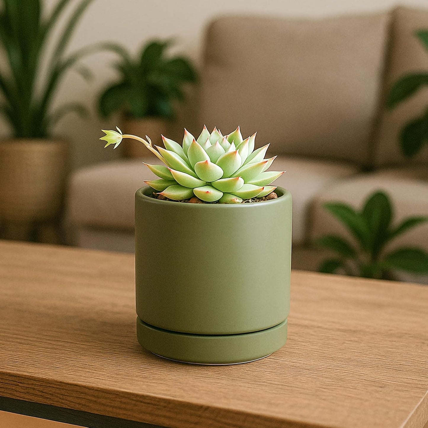 D'vine Dev Set of 2 Plants Pots, 3.5 Inch Ceramic Planter Pot for Plants with Drainage Hole and Saucer, Olive, 94-V-A-J