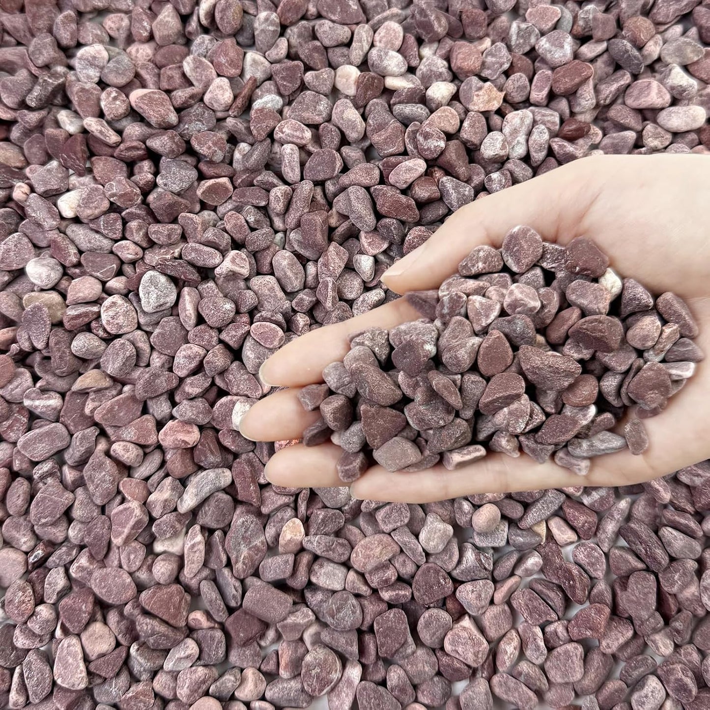 5 lbs Succulent and Cactus Pebbles for Indoor Plants, 3/8 Inch Pea Gravel Decorative Red River Rocks for Plants, Vases, Terrarium, Aquarium, Potted Top Dressing and Outdoor Landscaping Stones