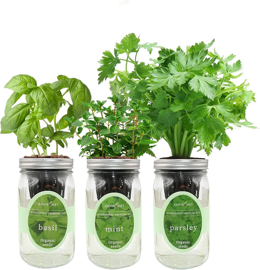 Hydroponic Herb Growing Kit Set, Self-Watering Mason Jar Herb Garden Starter Kit Indoor, Windowsill Herbs Garden, Grow Your Own Herbs from Organic Seeds (Basil, Mint, Parsley)
